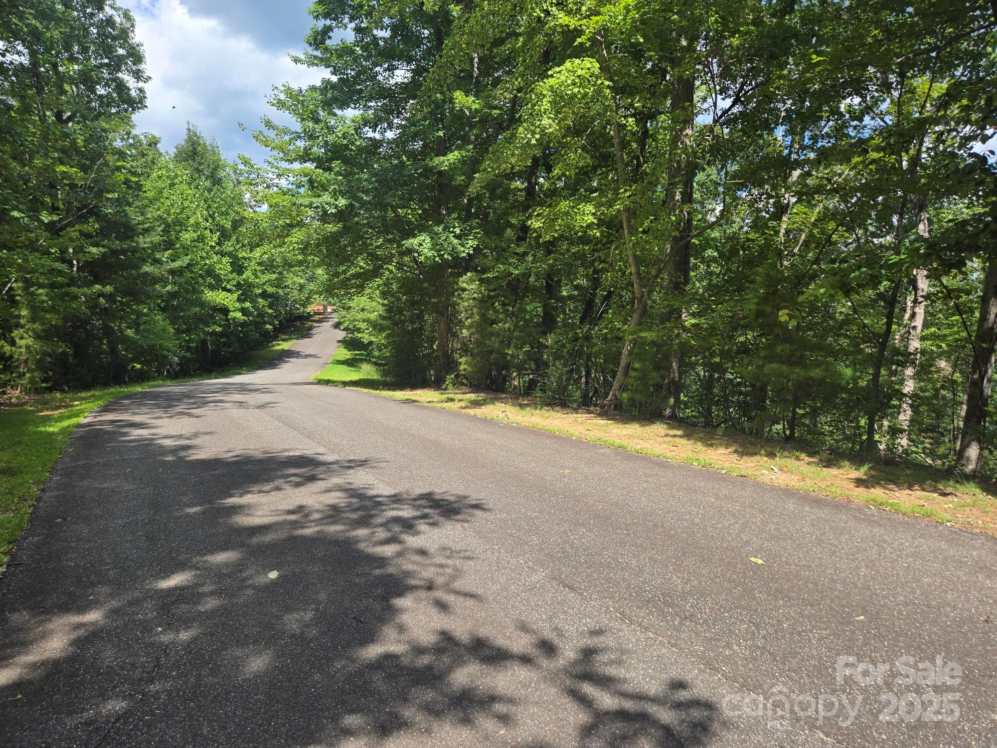 Lot 34 Hawks Nest Trail Property Photo 2