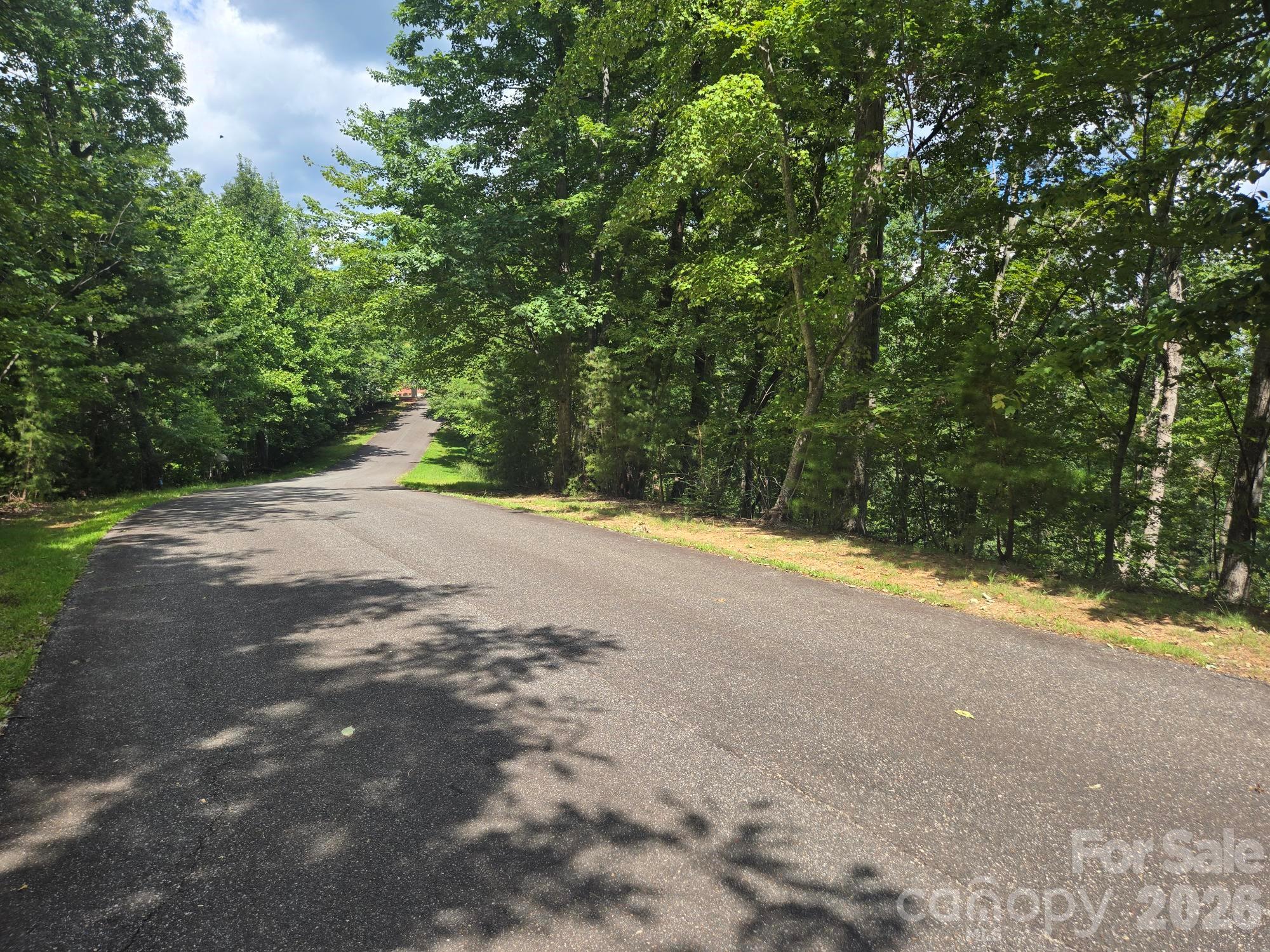 Lot 34 Hawks Nest Trail Property Photo 2