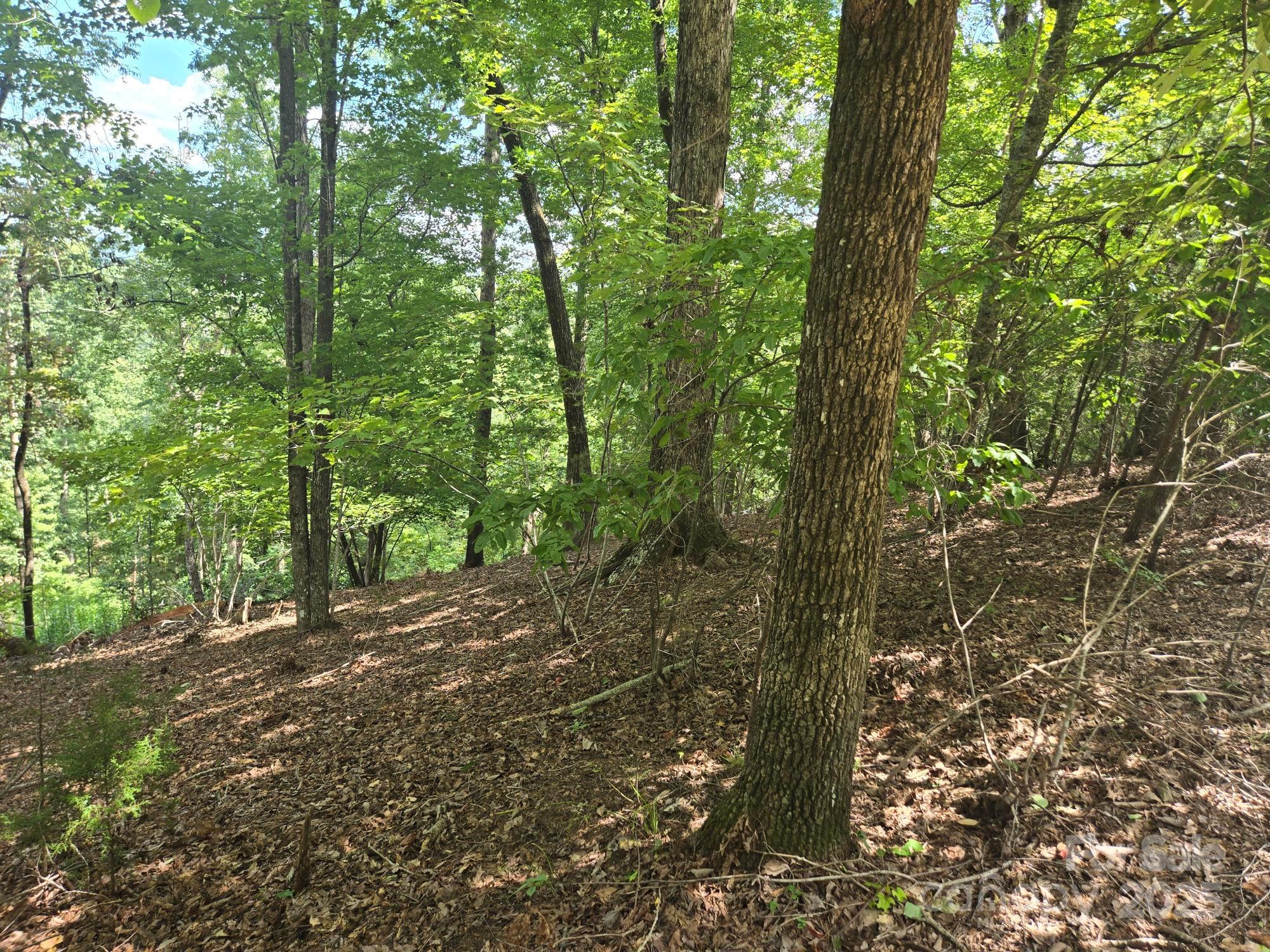 Lot 34 Hawks Nest Trail Property Photo 3