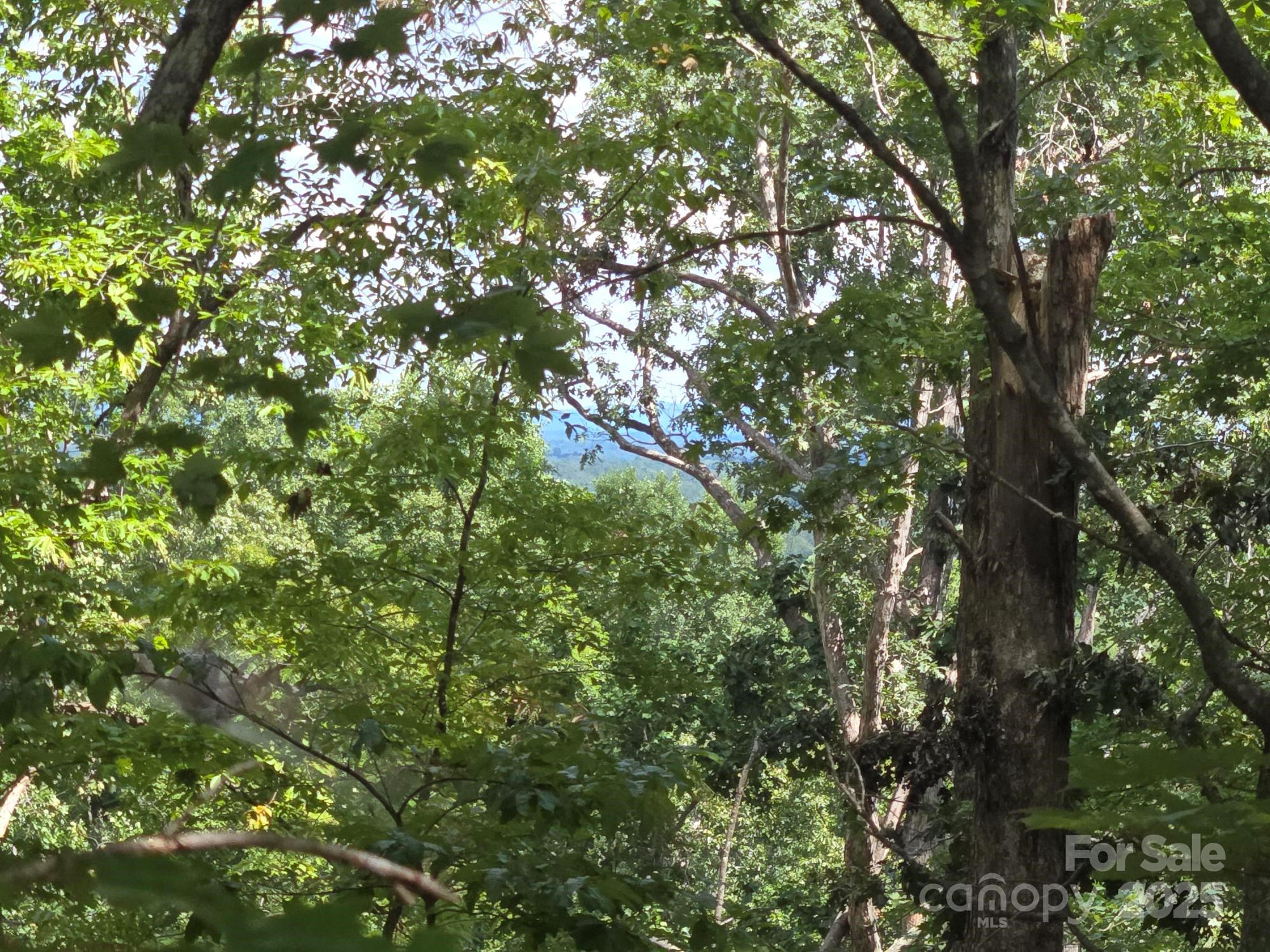 Lot 34 Hawks Nest Trail Property Photo 4
