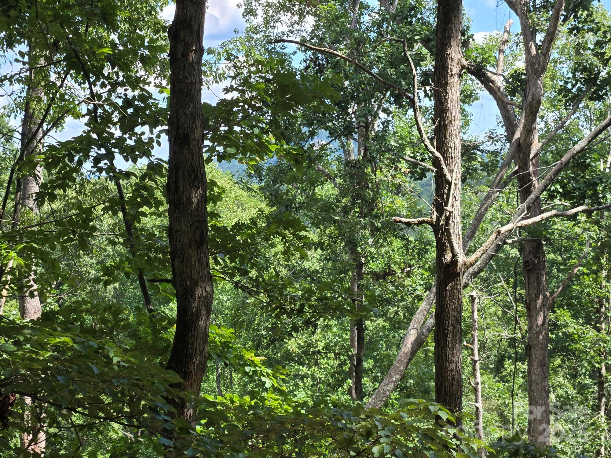 Lot 34 Hawks Nest Trail Property Photo 5