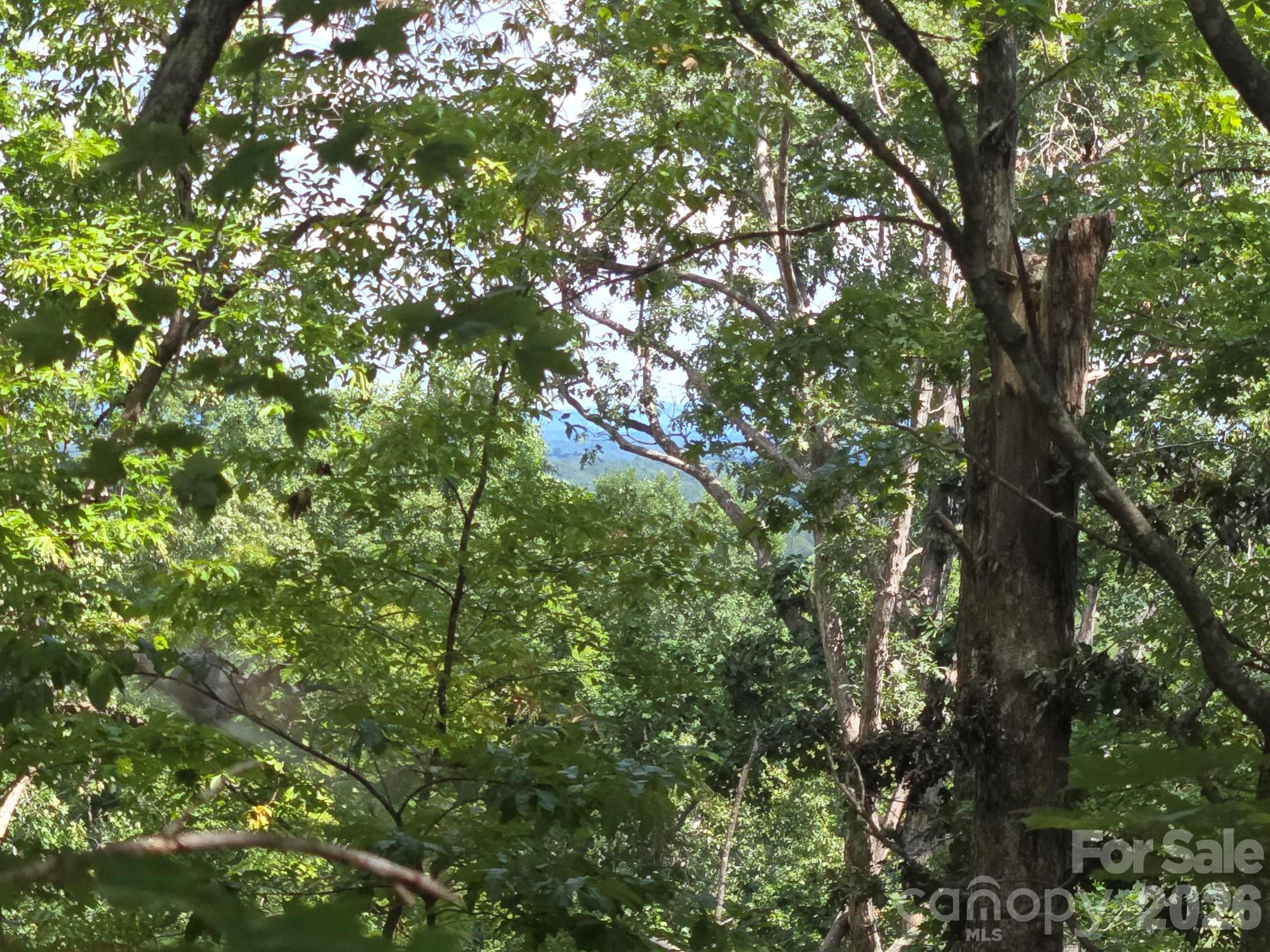 Lot 34 Hawks Nest Trail Property Photo 5