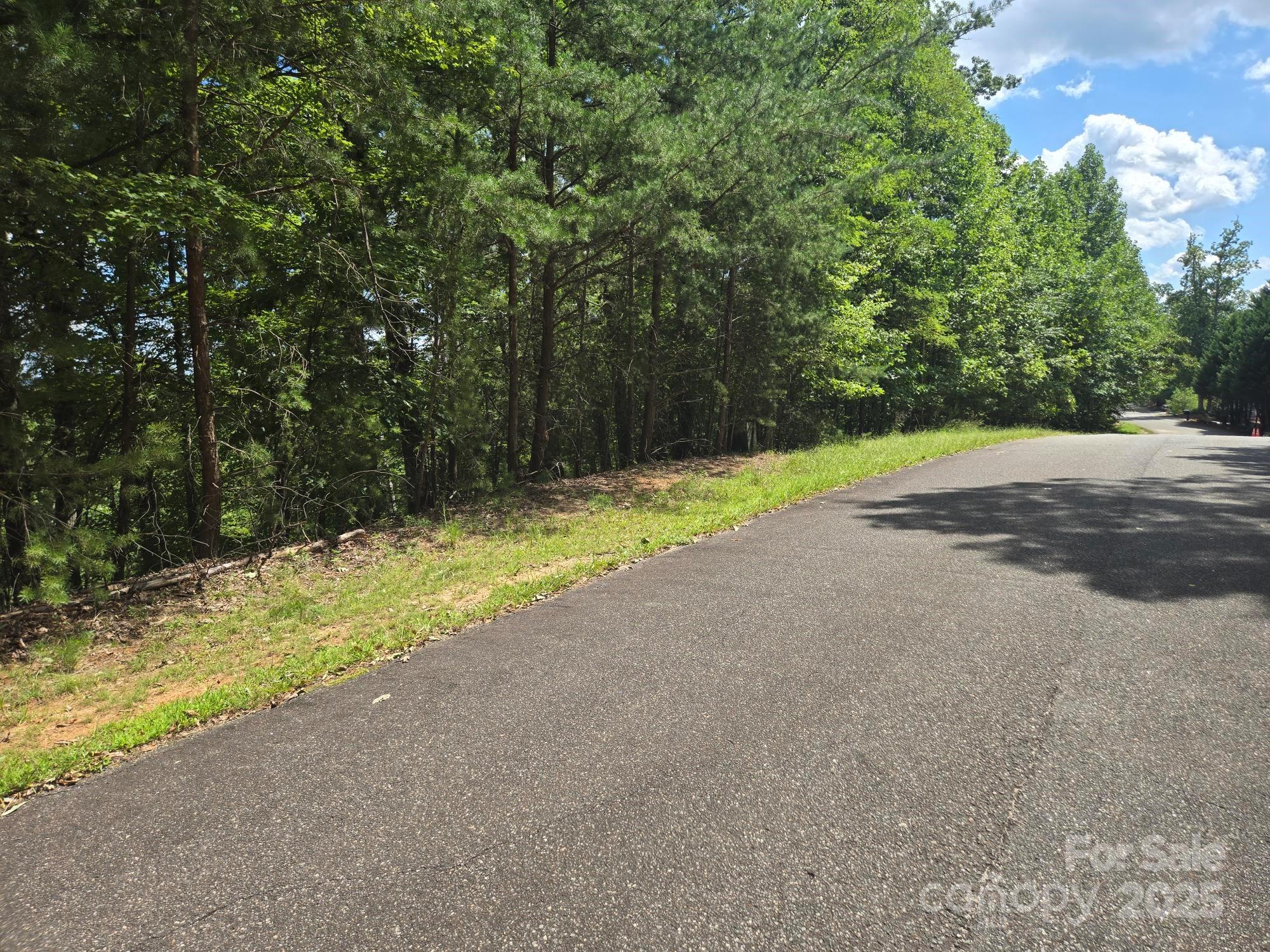 Lot 34 Hawks Nest Trail Property Photo 6