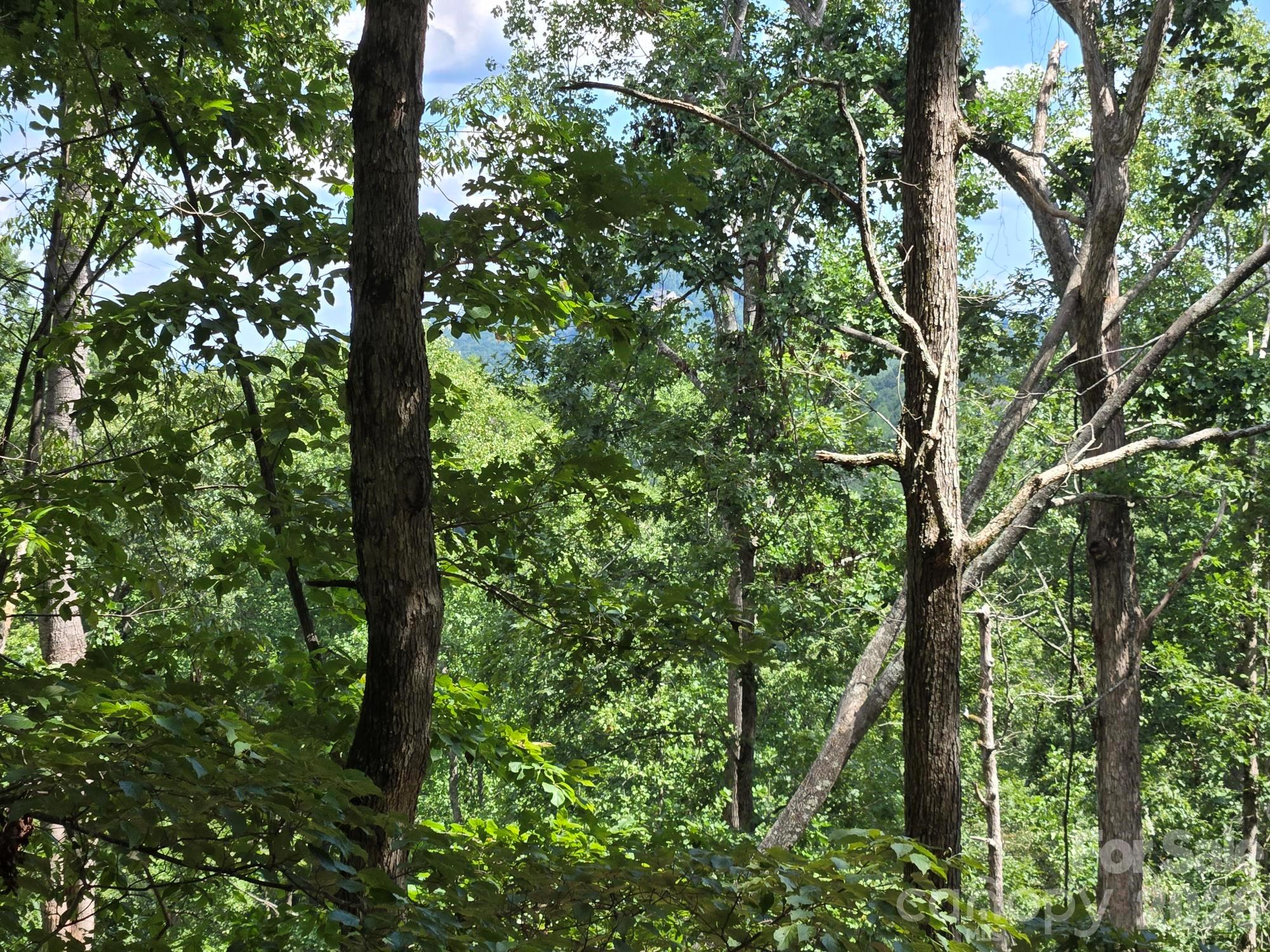 Lot 34 Hawks Nest Trail Property Photo 6