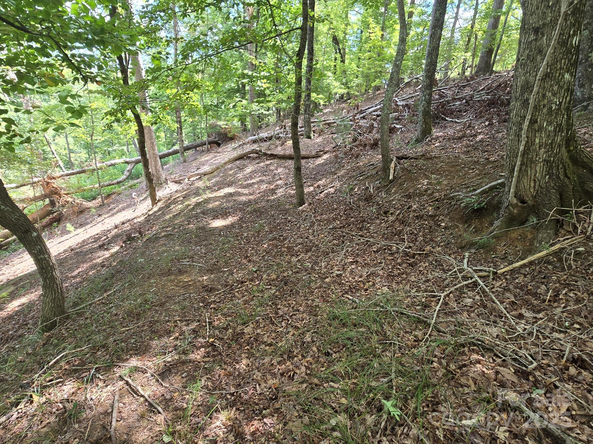 Lot 34 Hawks Nest Trail Property Photo 7