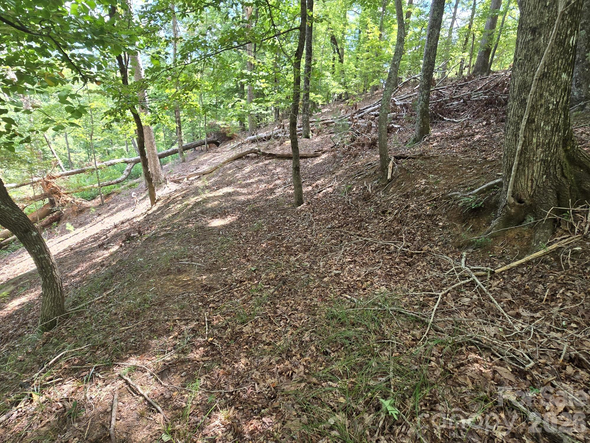 Lot 34 Hawks Nest Trail Property Photo 8