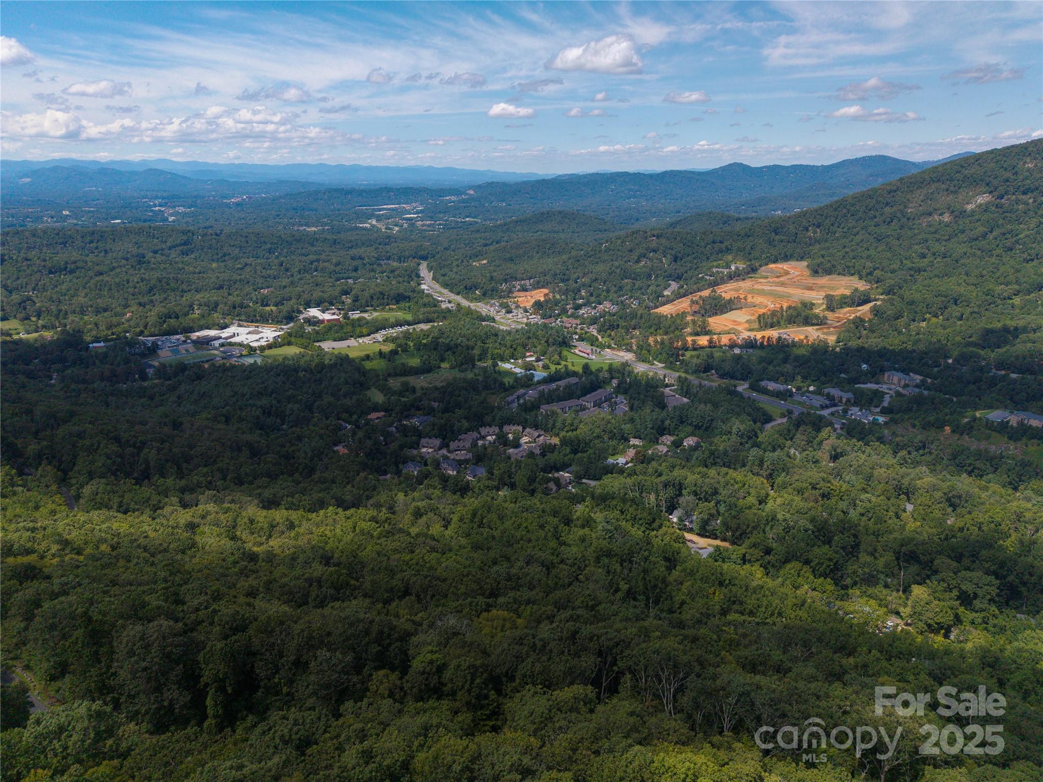 52 Castanea Mountain Drive