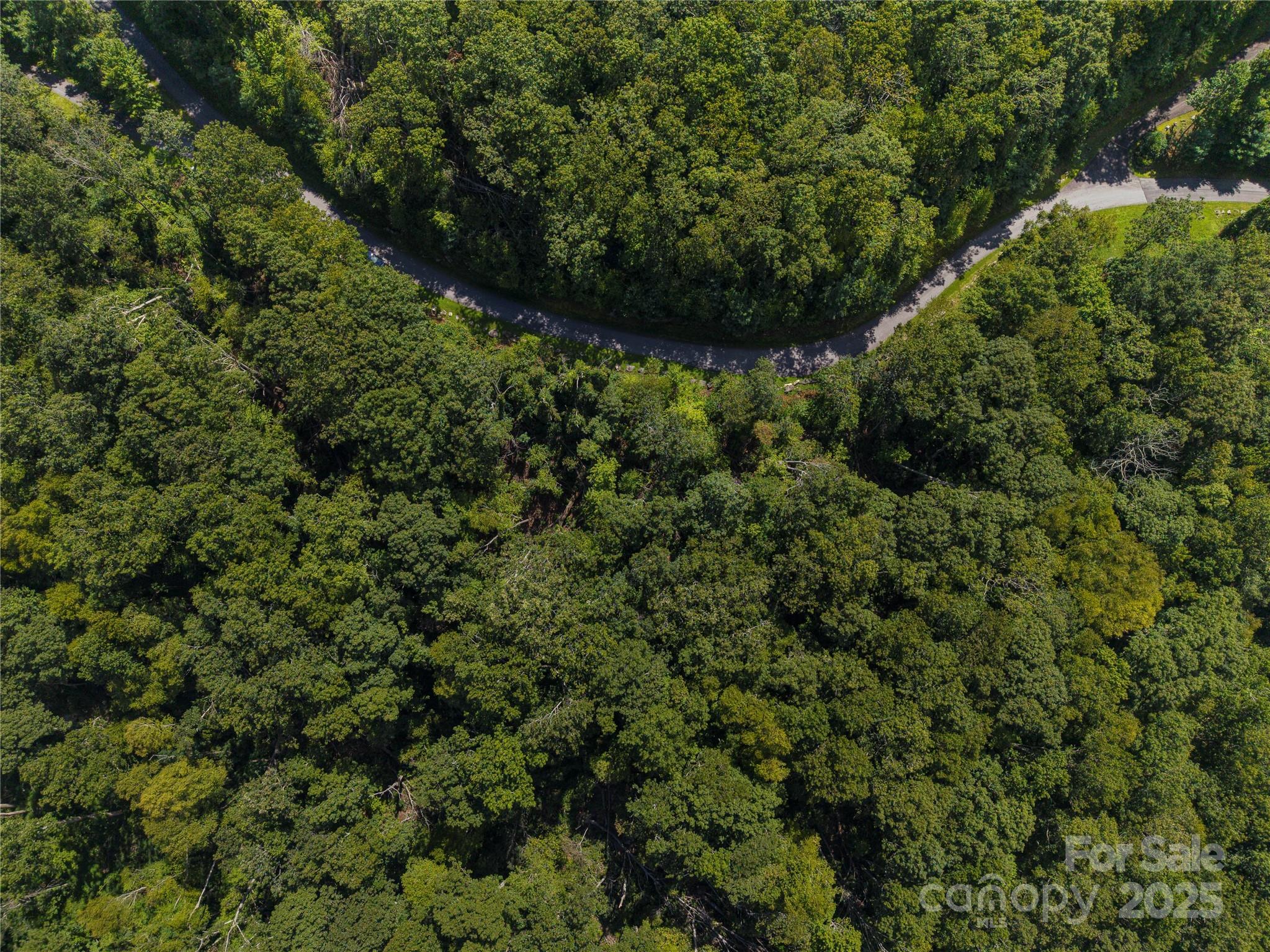 52 Castanea Mountain Drive Property Photo 2