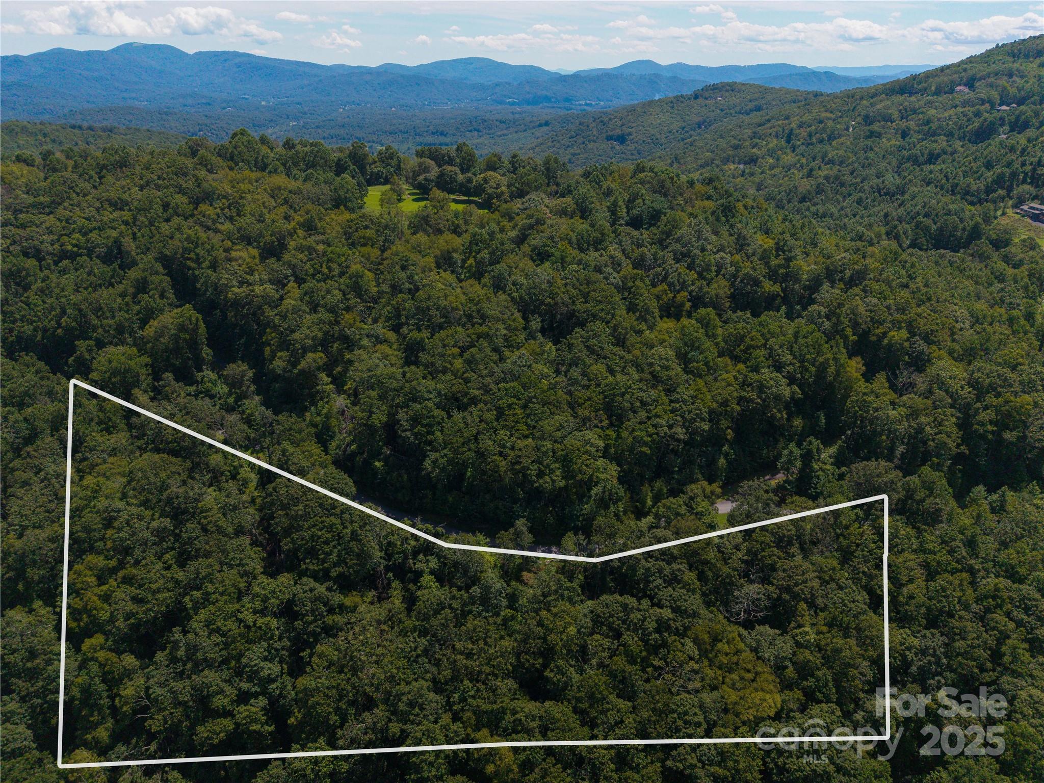 52 Castanea Mountain Drive Property Photo 3