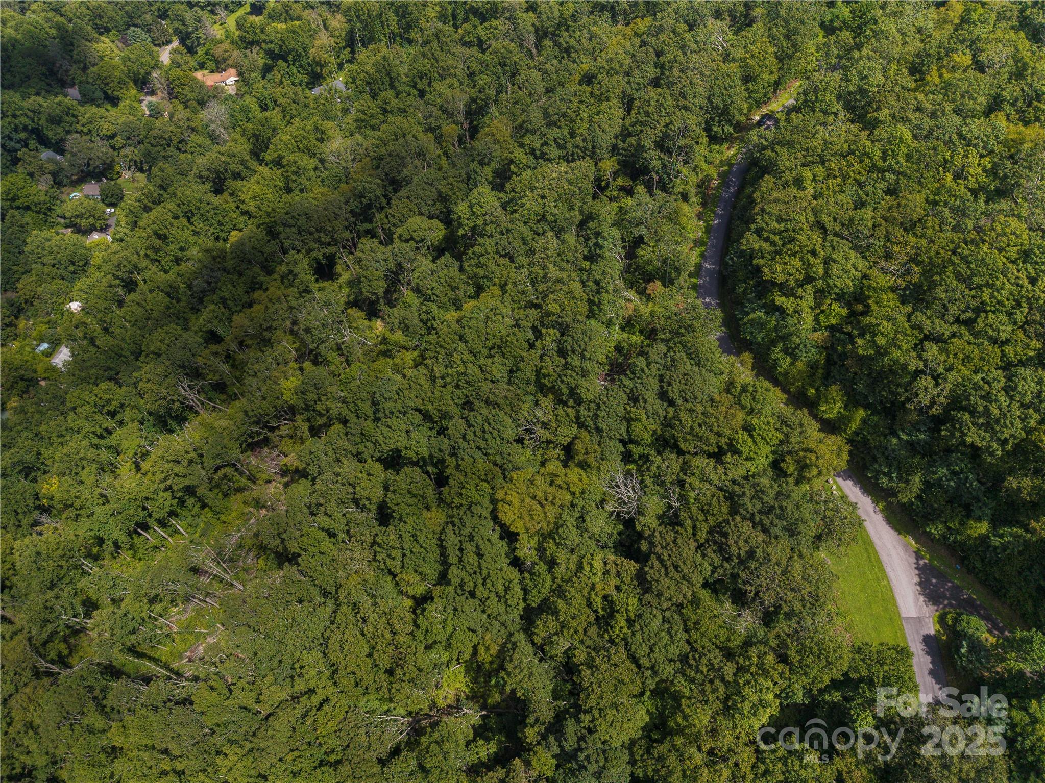 52 Castanea Mountain Drive Property Photo 4