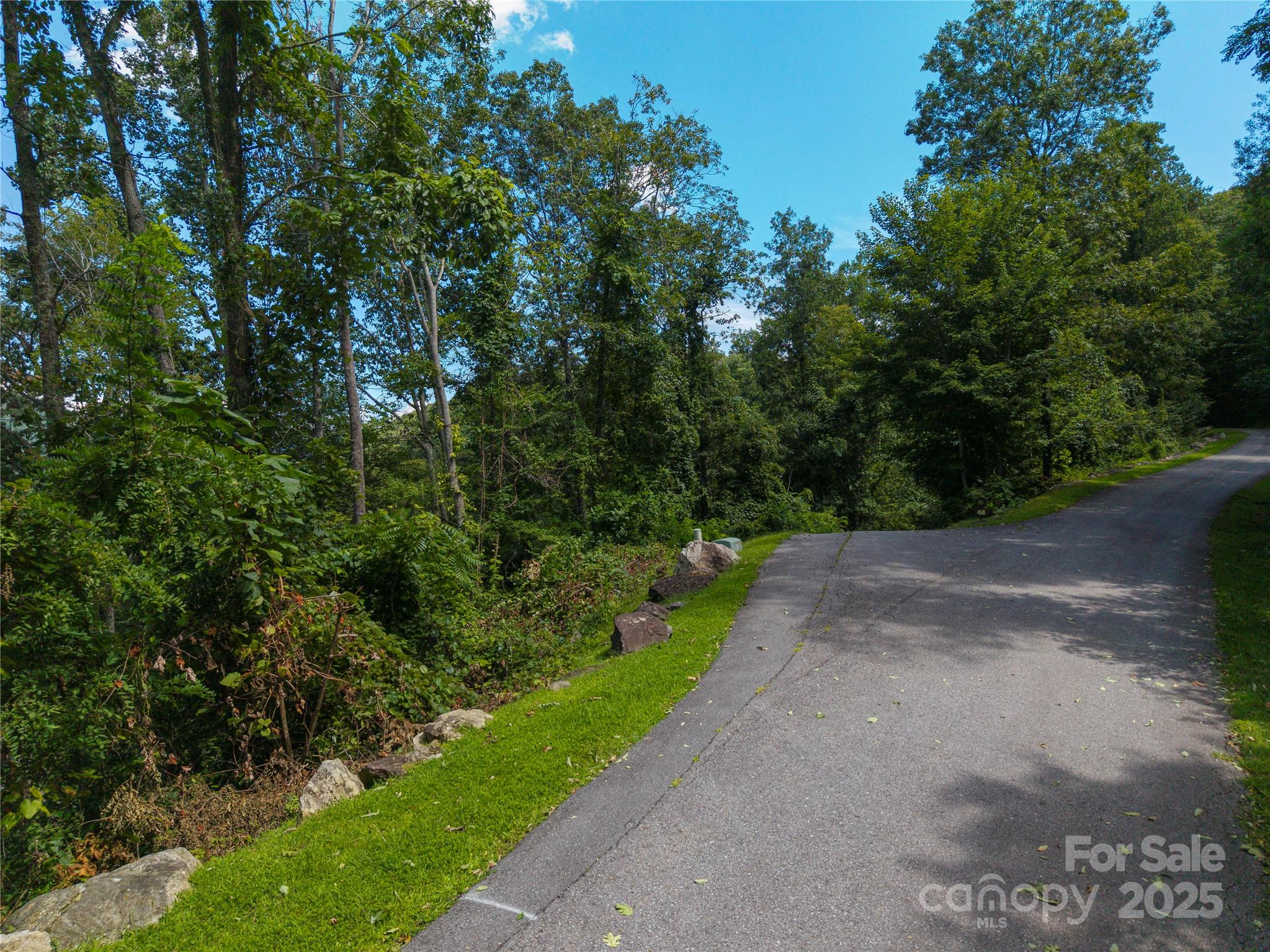 52 Castanea Mountain Drive Property Photo 5