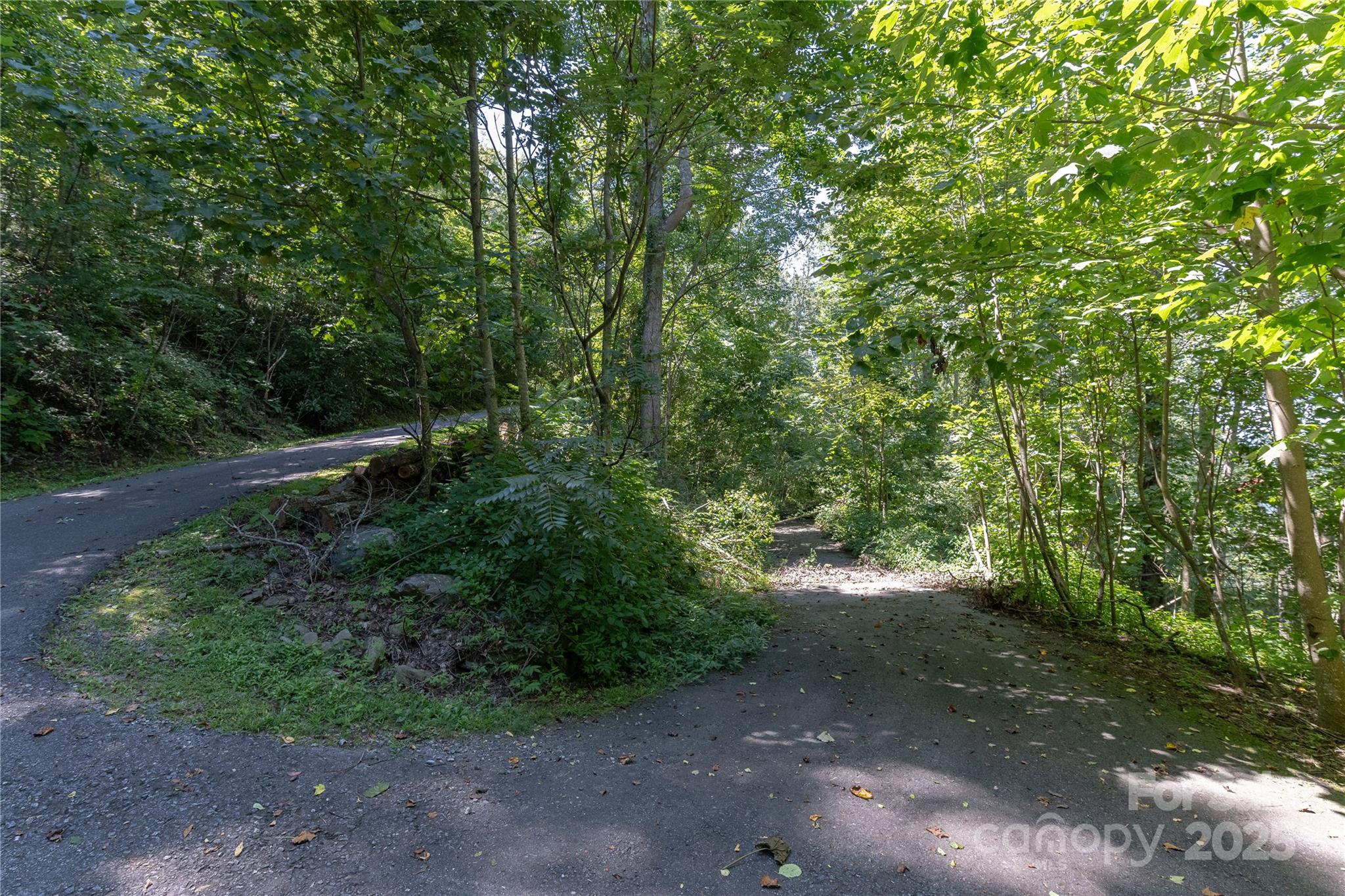 52 Castanea Mountain Drive Property Photo 6