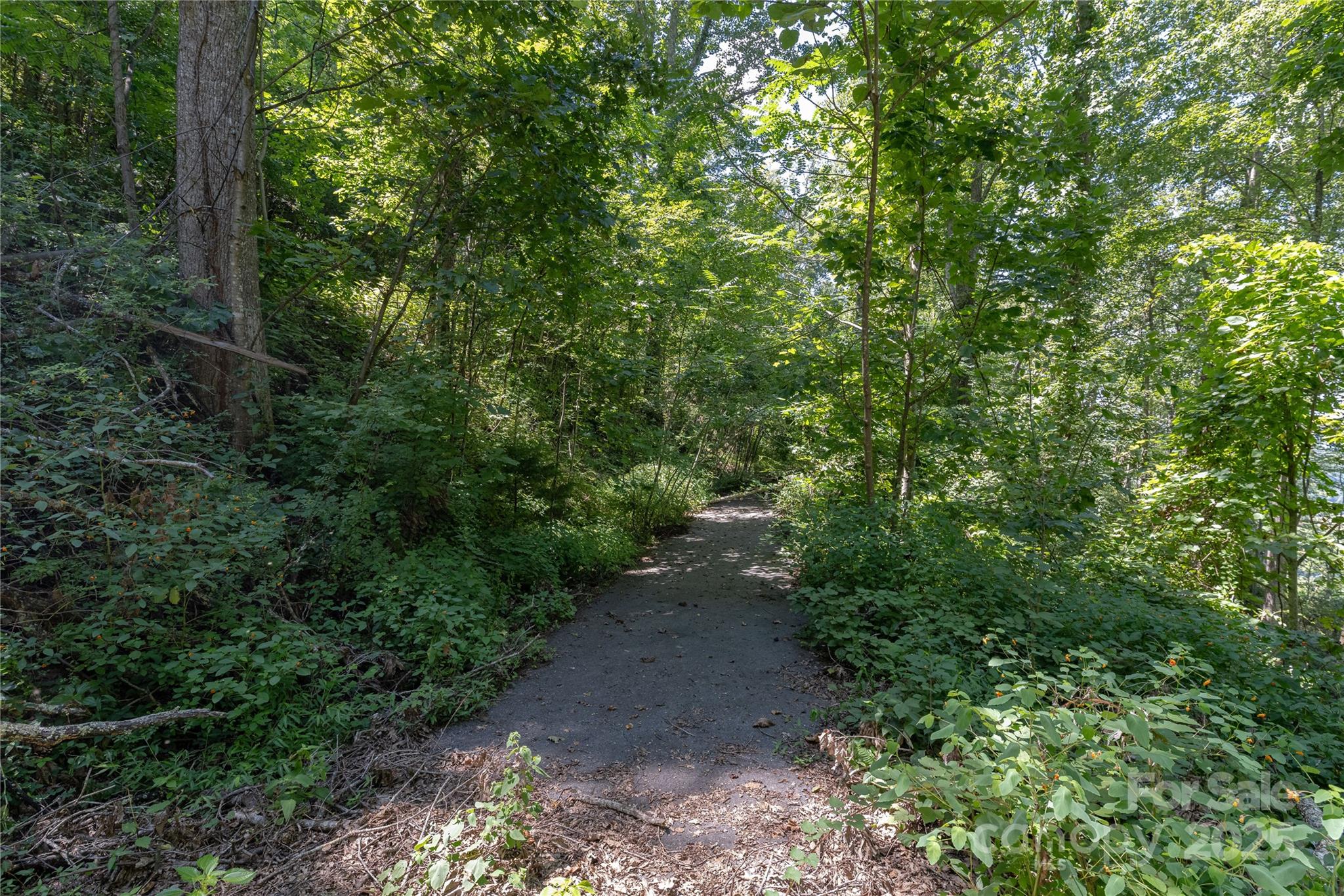 52 Castanea Mountain Drive Property Photo 7