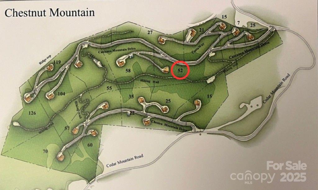 52 Castanea Mountain Drive Property Photo 8