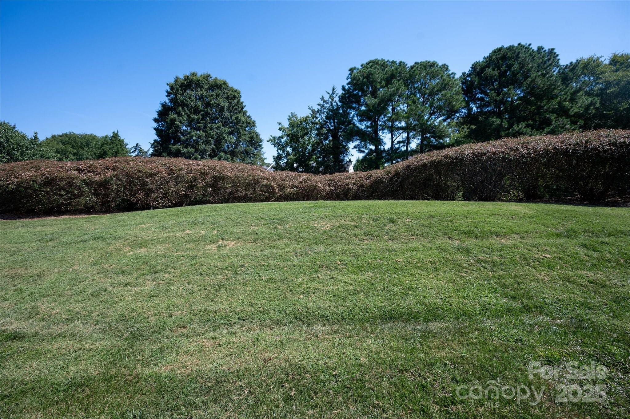 10935 Winterbourne Court Property Photo 34