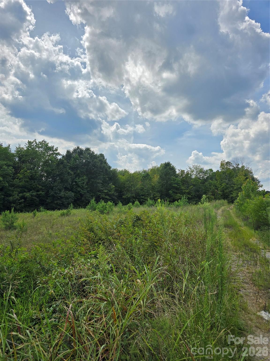1768 Concord Lake Road Property Photo 1