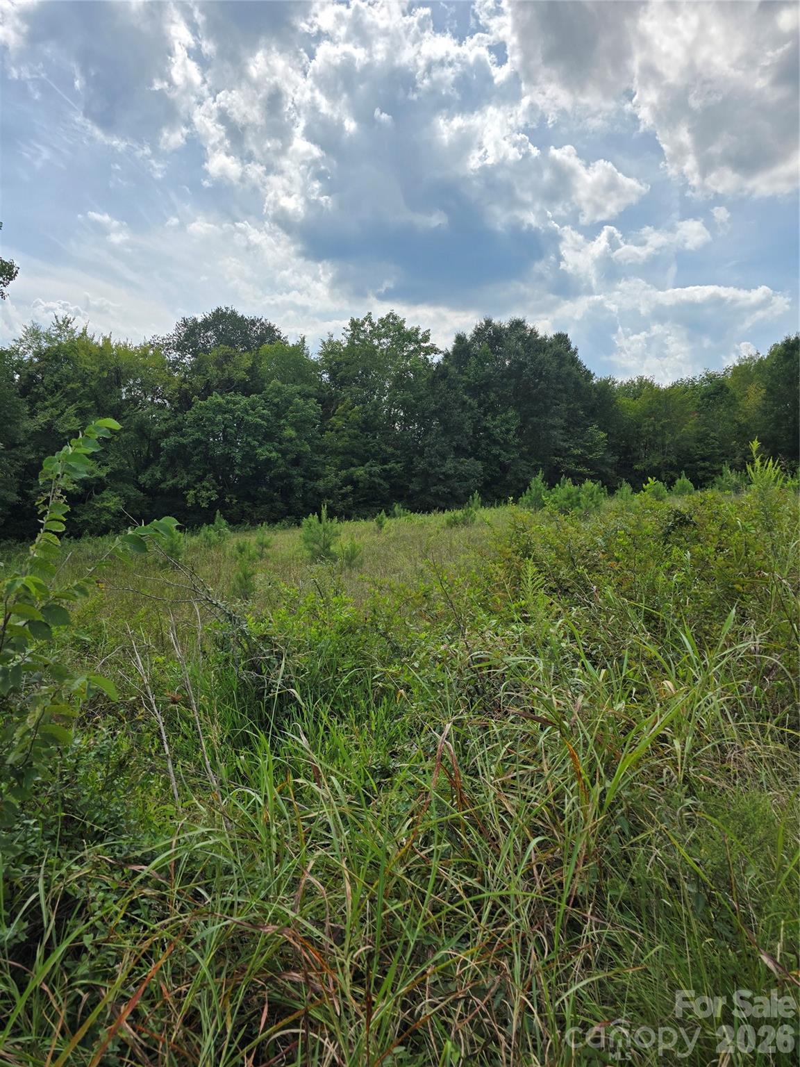 1768 Concord Lake Road Property Photo 2