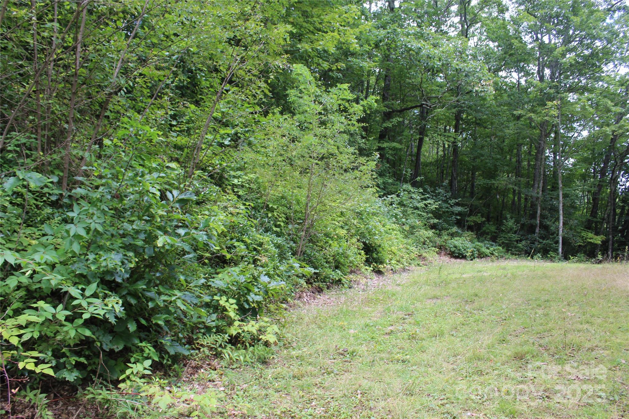 920 Autumn Drive Property Photo 3