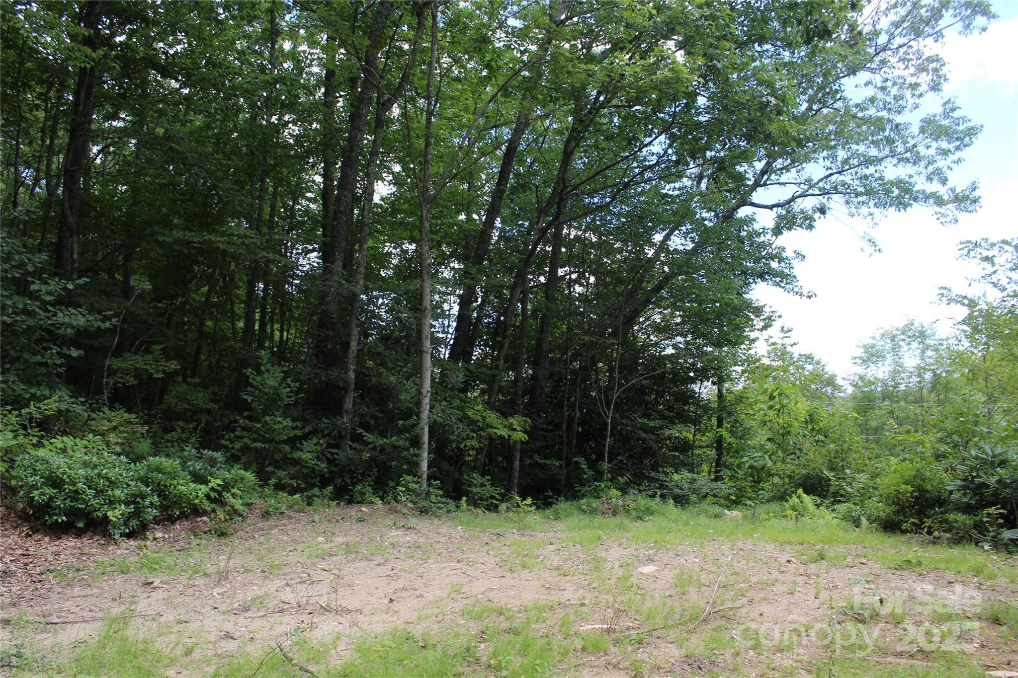 920 Autumn Drive Property Photo 4