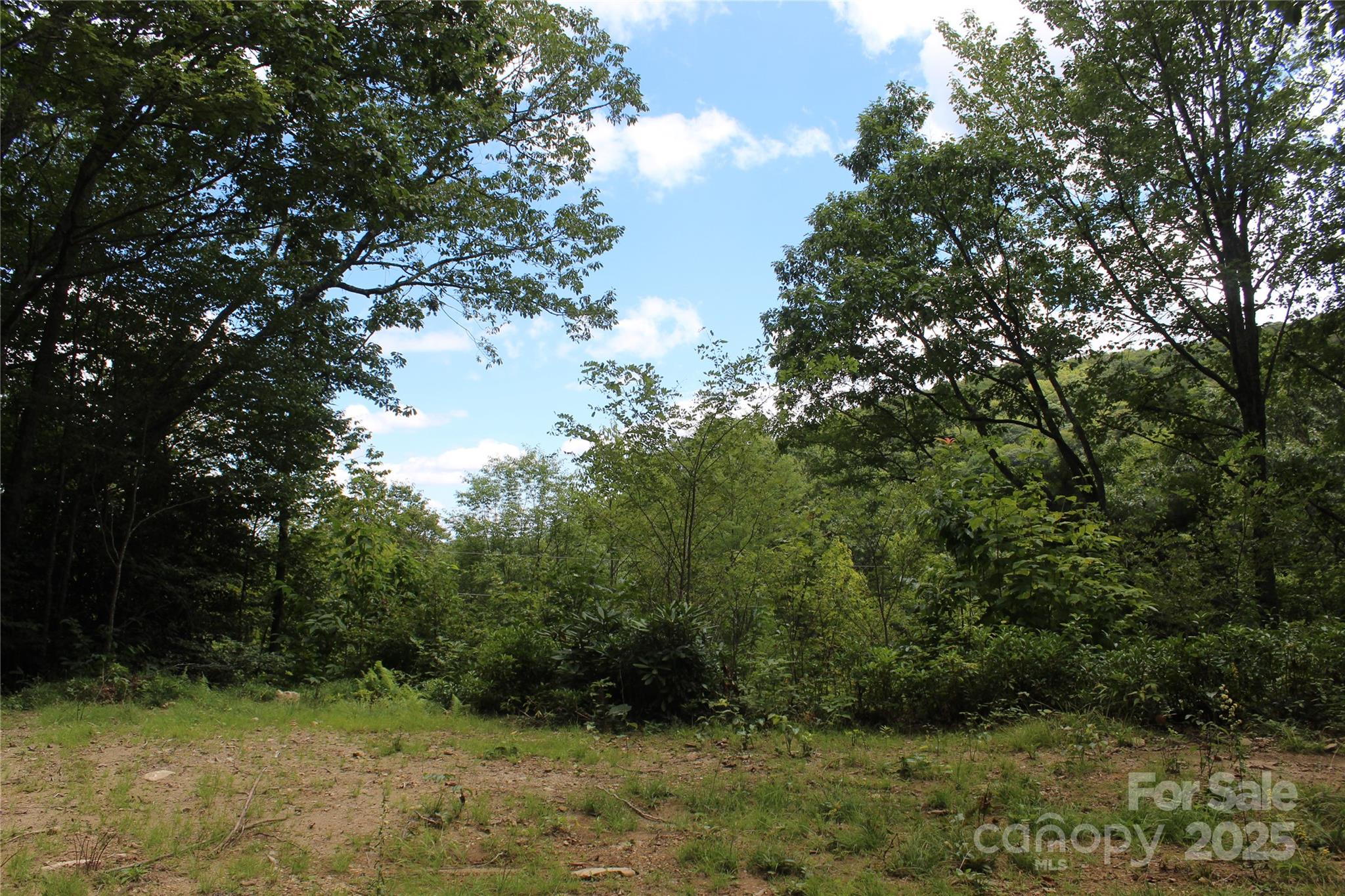 920 Autumn Drive Property Photo 5