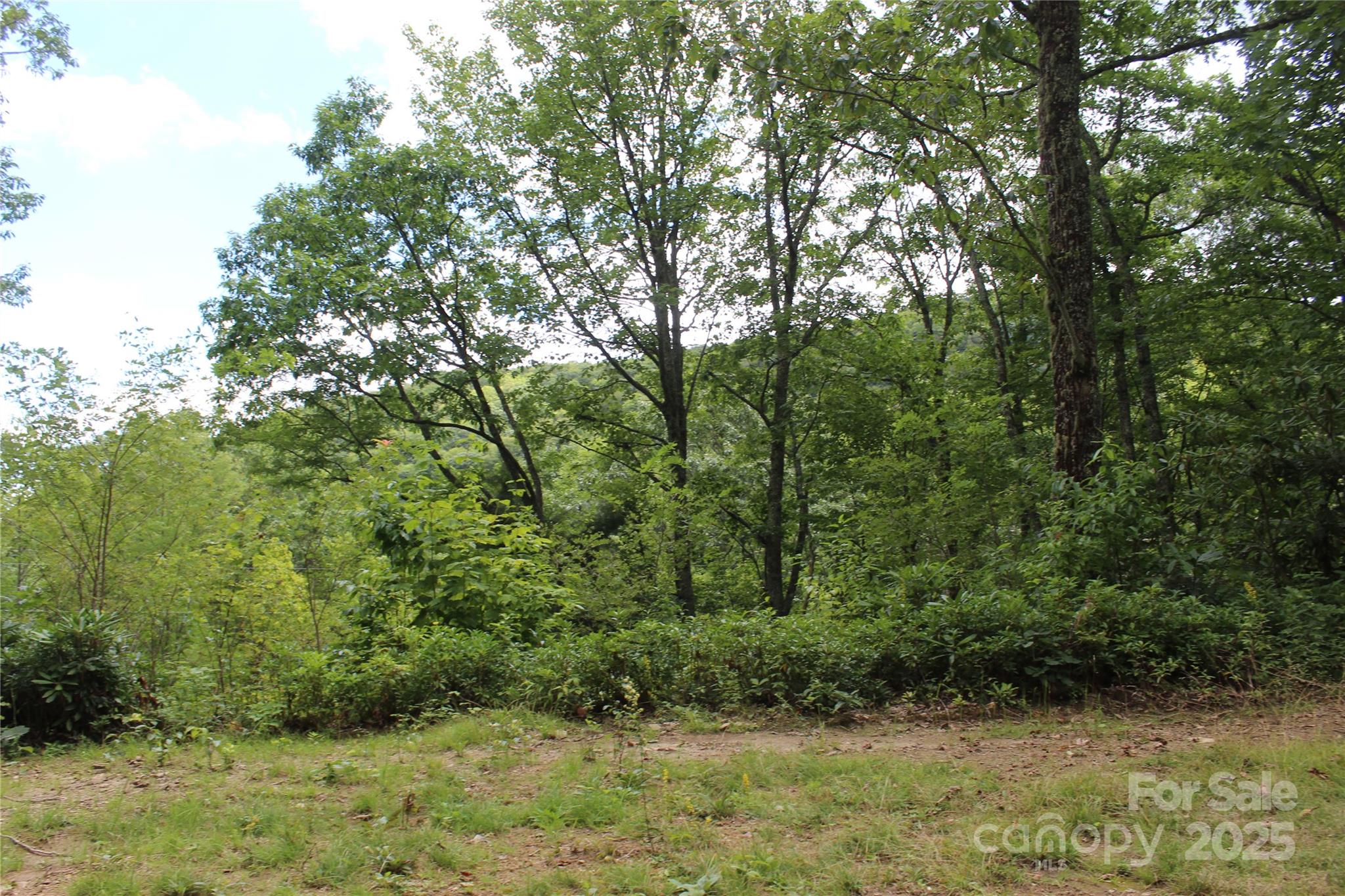 920 Autumn Drive Property Photo 6