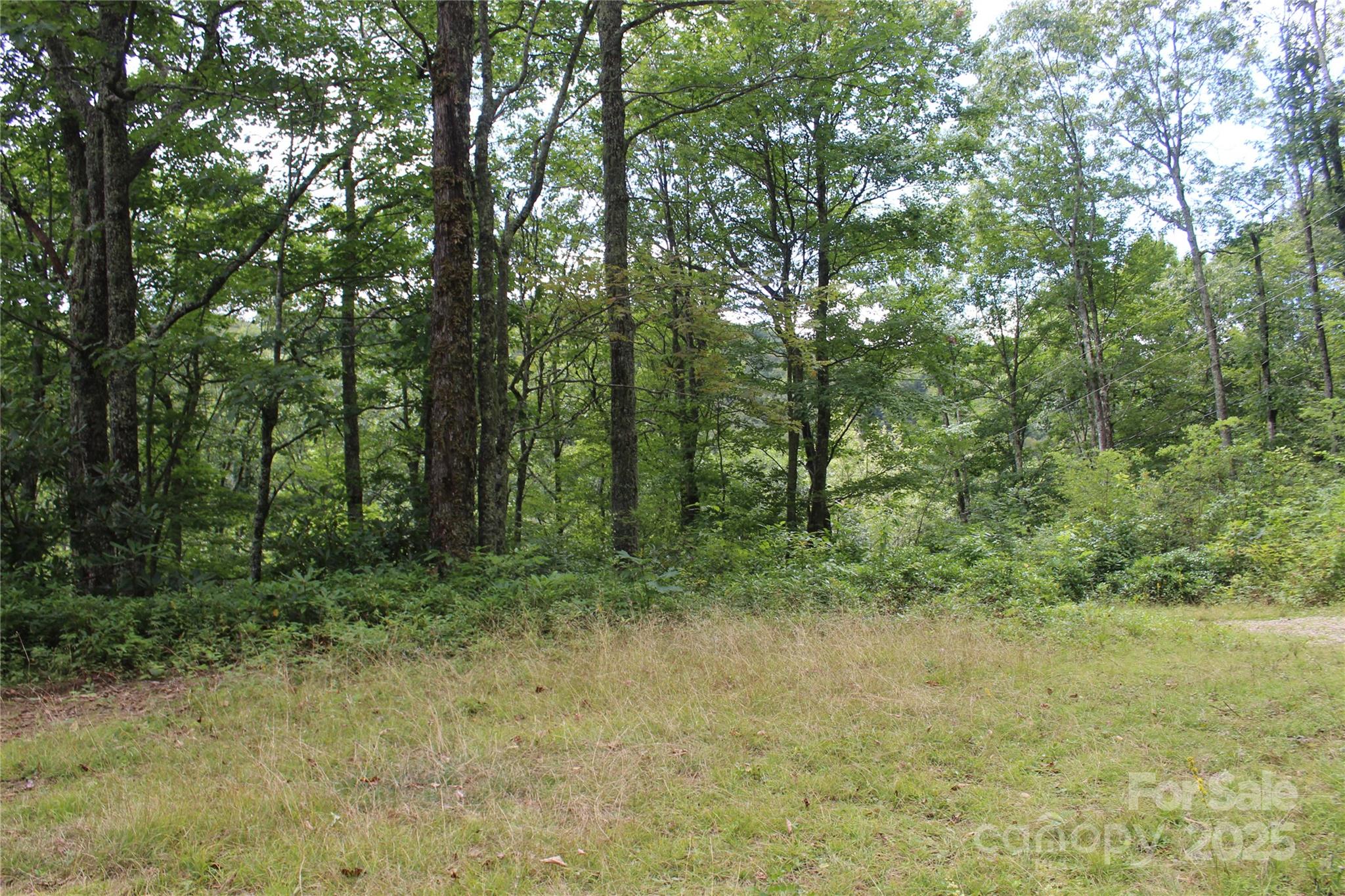 920 Autumn Drive Property Photo 7