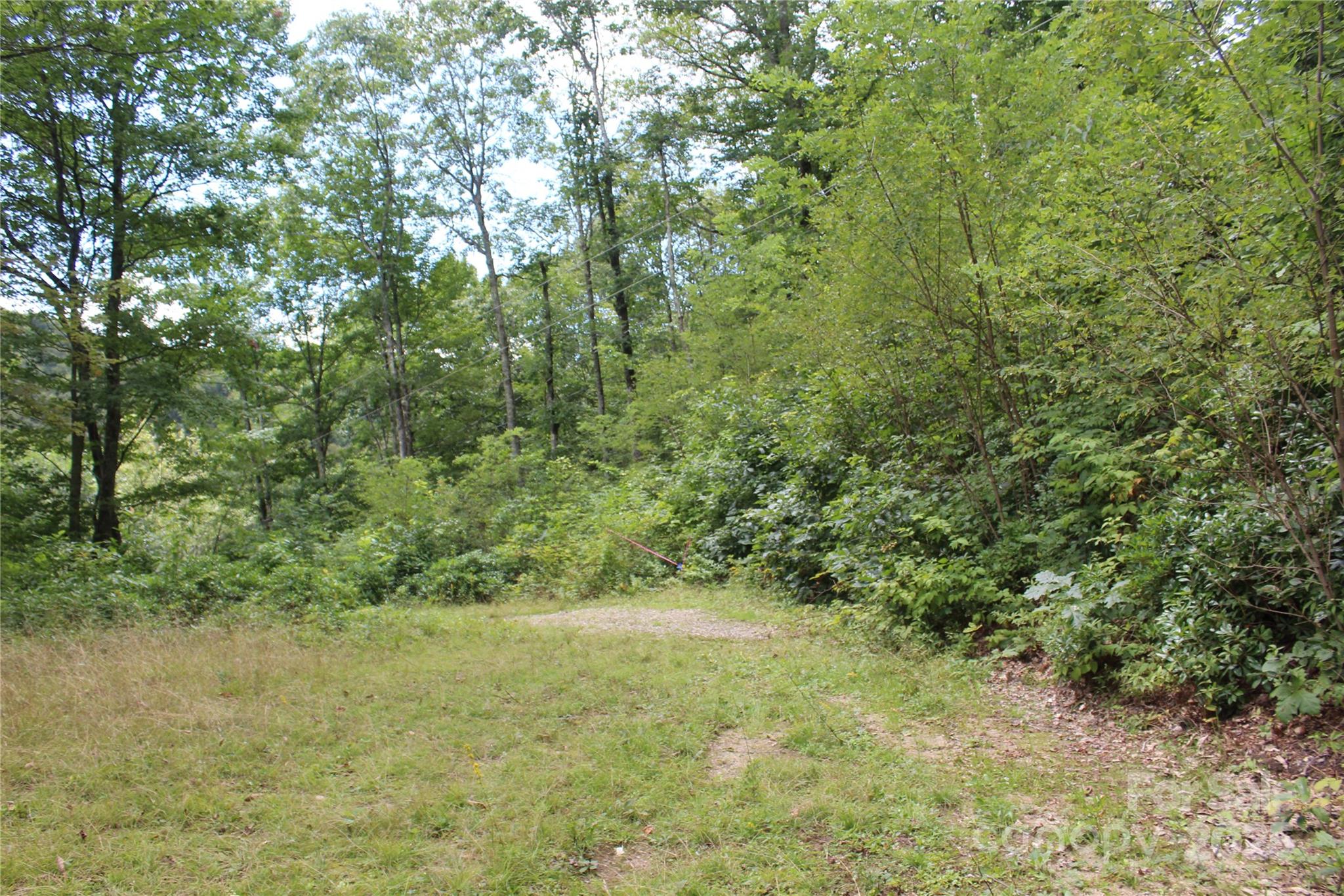 920 Autumn Drive Property Photo 8