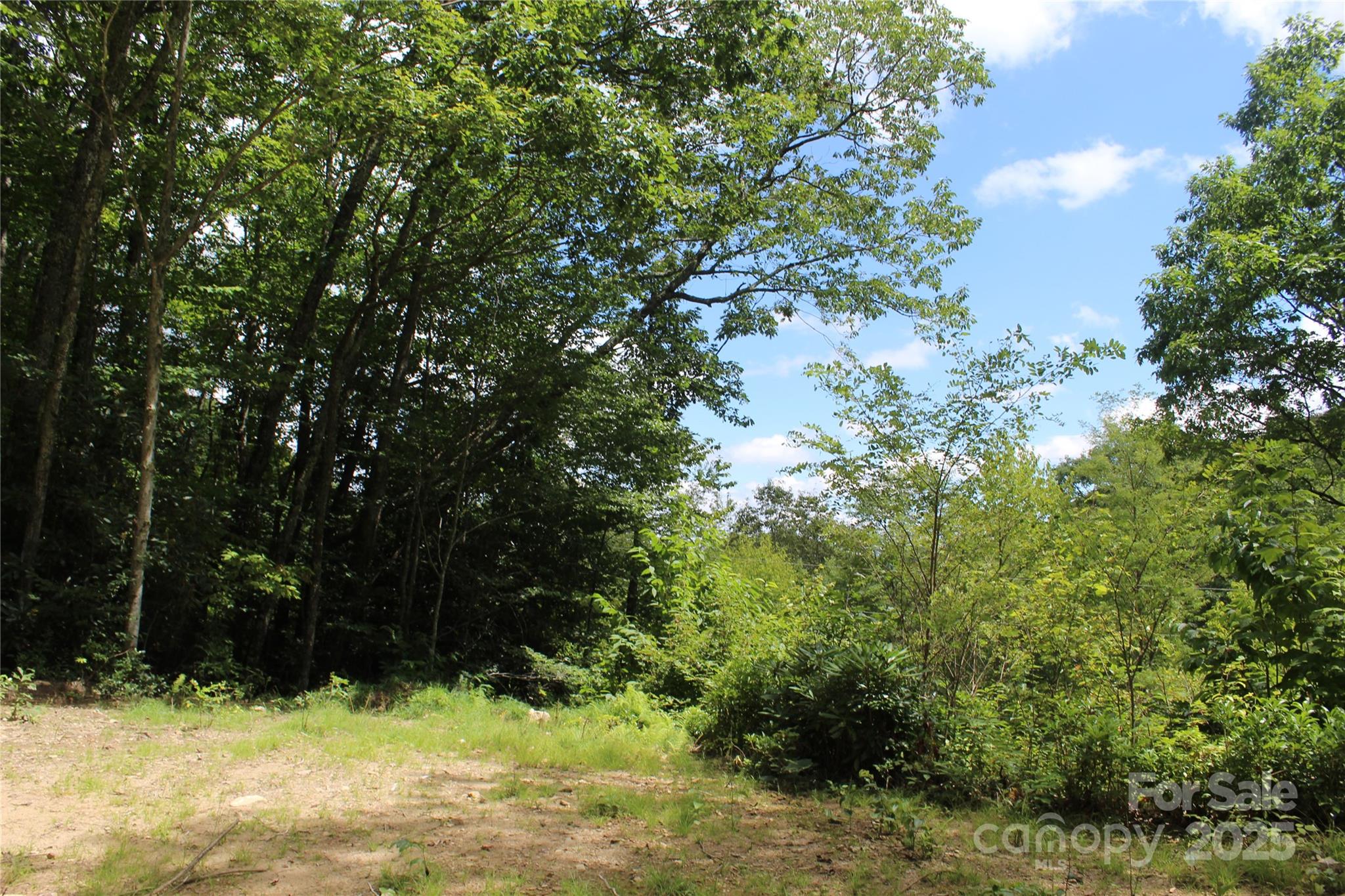 920 Autumn Drive Property Photo 11