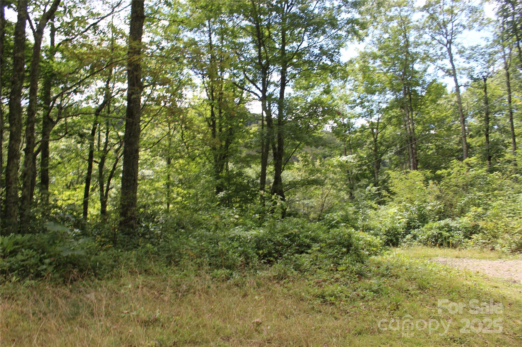 920 Autumn Drive Property Photo 13
