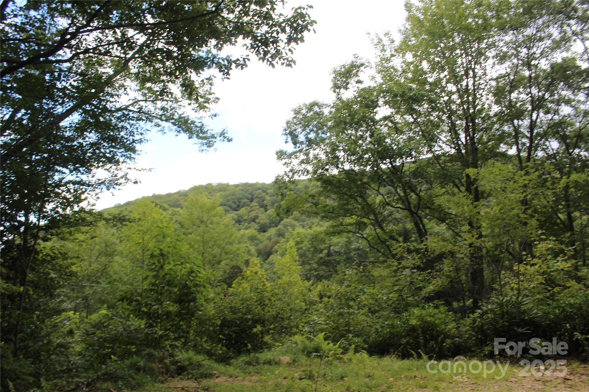 920 Autumn Drive Property Photo 15