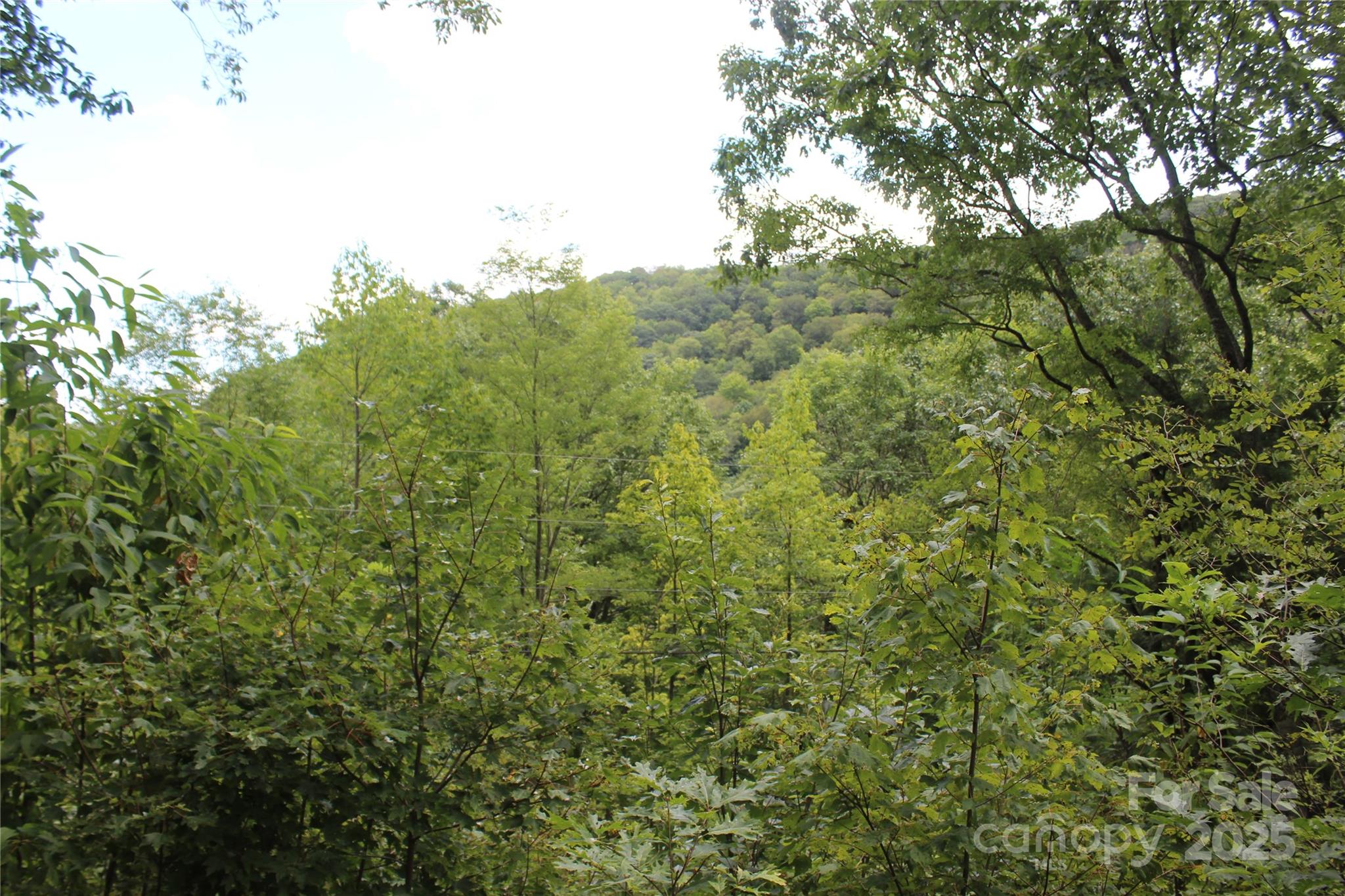 920 Autumn Drive Property Photo 16