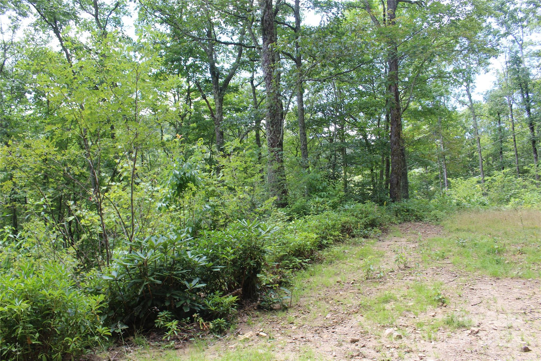 920 Autumn Drive Property Photo 17