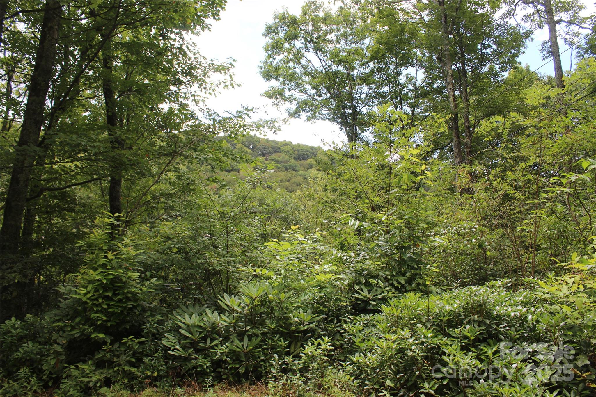 920 Autumn Drive Property Photo 18