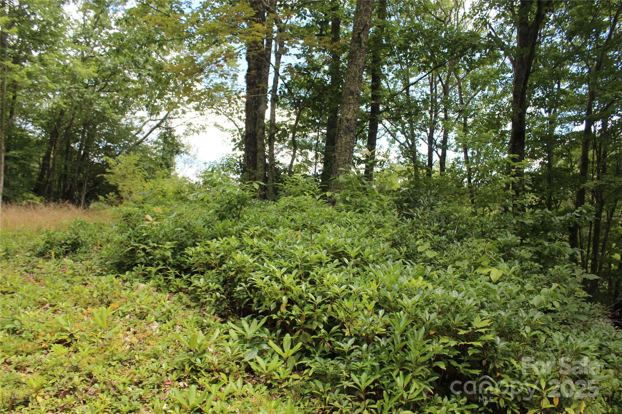 920 Autumn Drive Property Photo 19