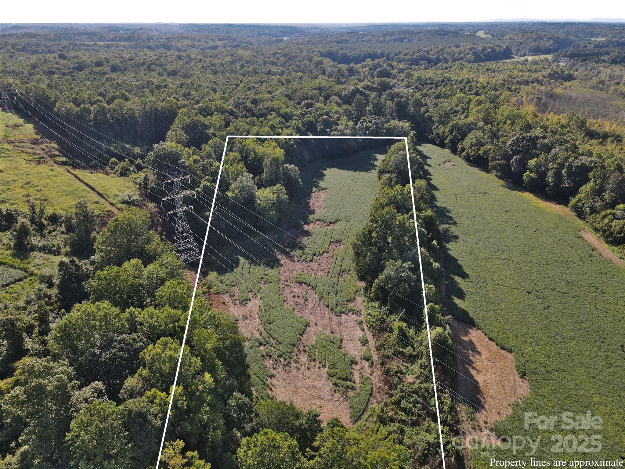 215 Rowan Road Property Photo 5