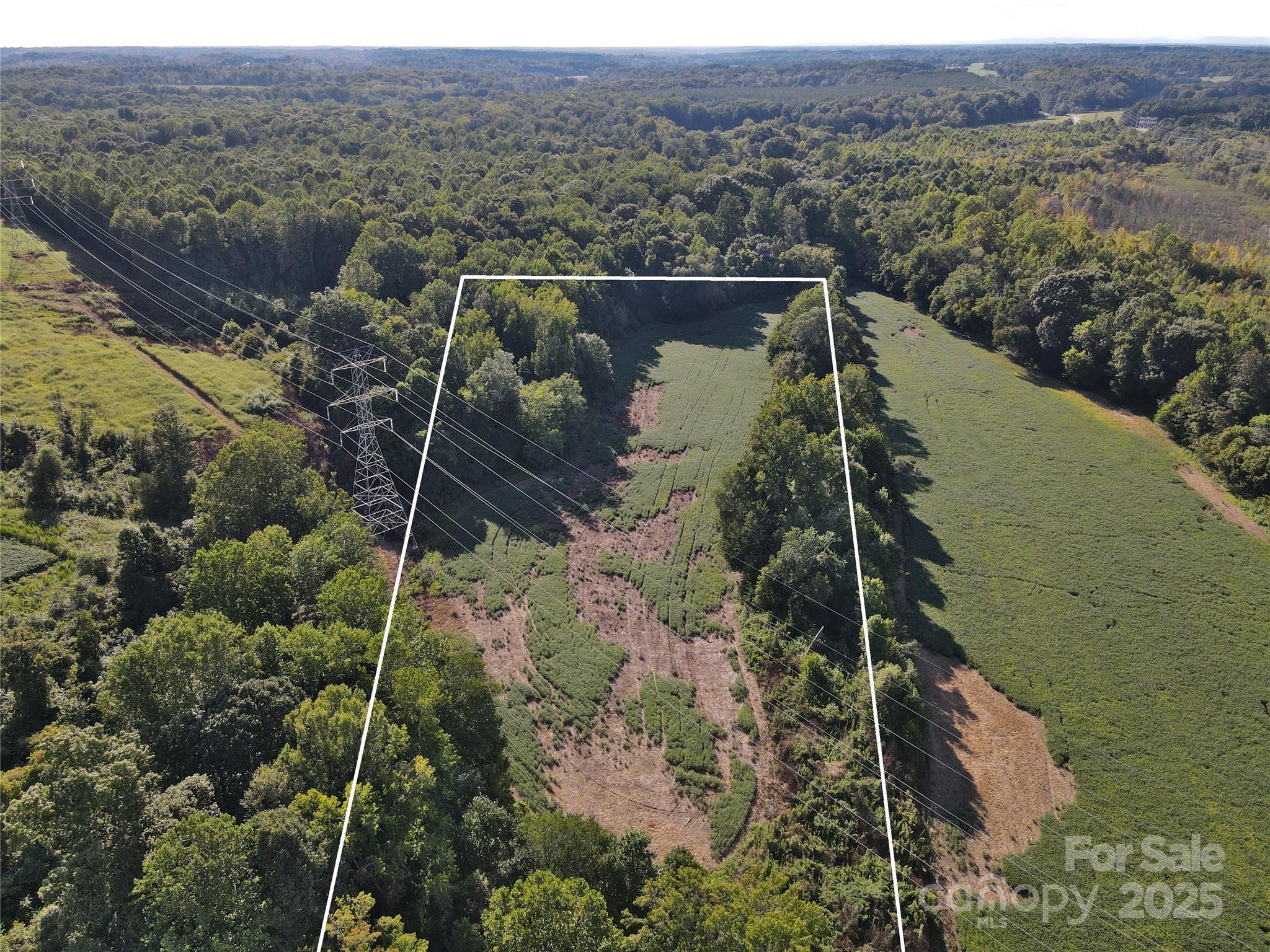 215 Rowan Road Property Photo 17