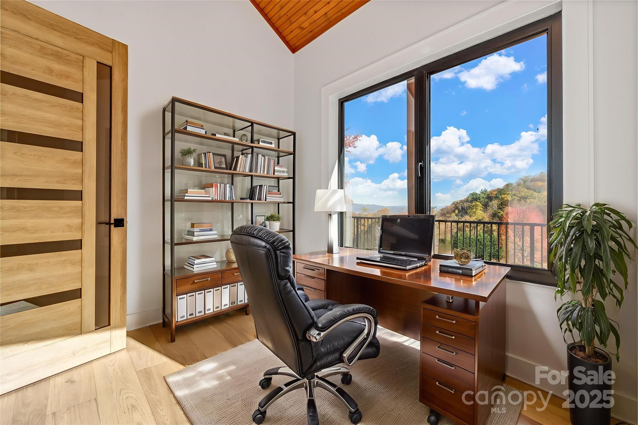 172 Pisgah Forest Trail Property Photo 8