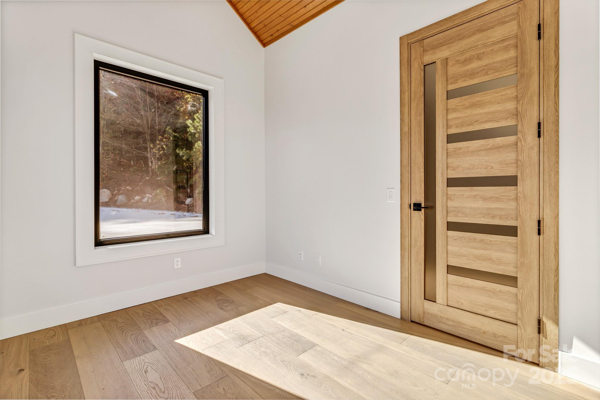 172 Pisgah Forest Trail Property Photo 9