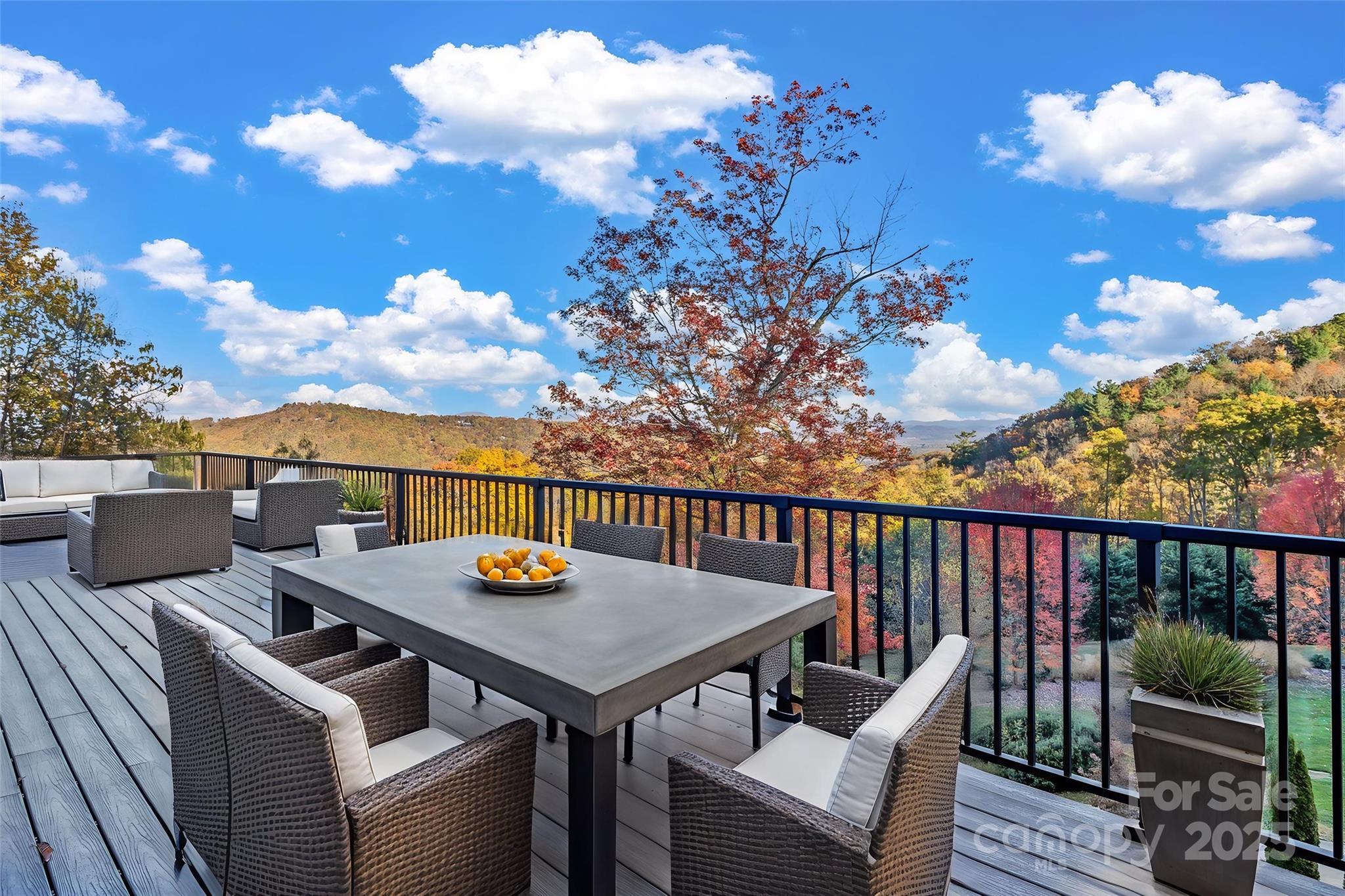 172 Pisgah Forest Trail Property Photo 30