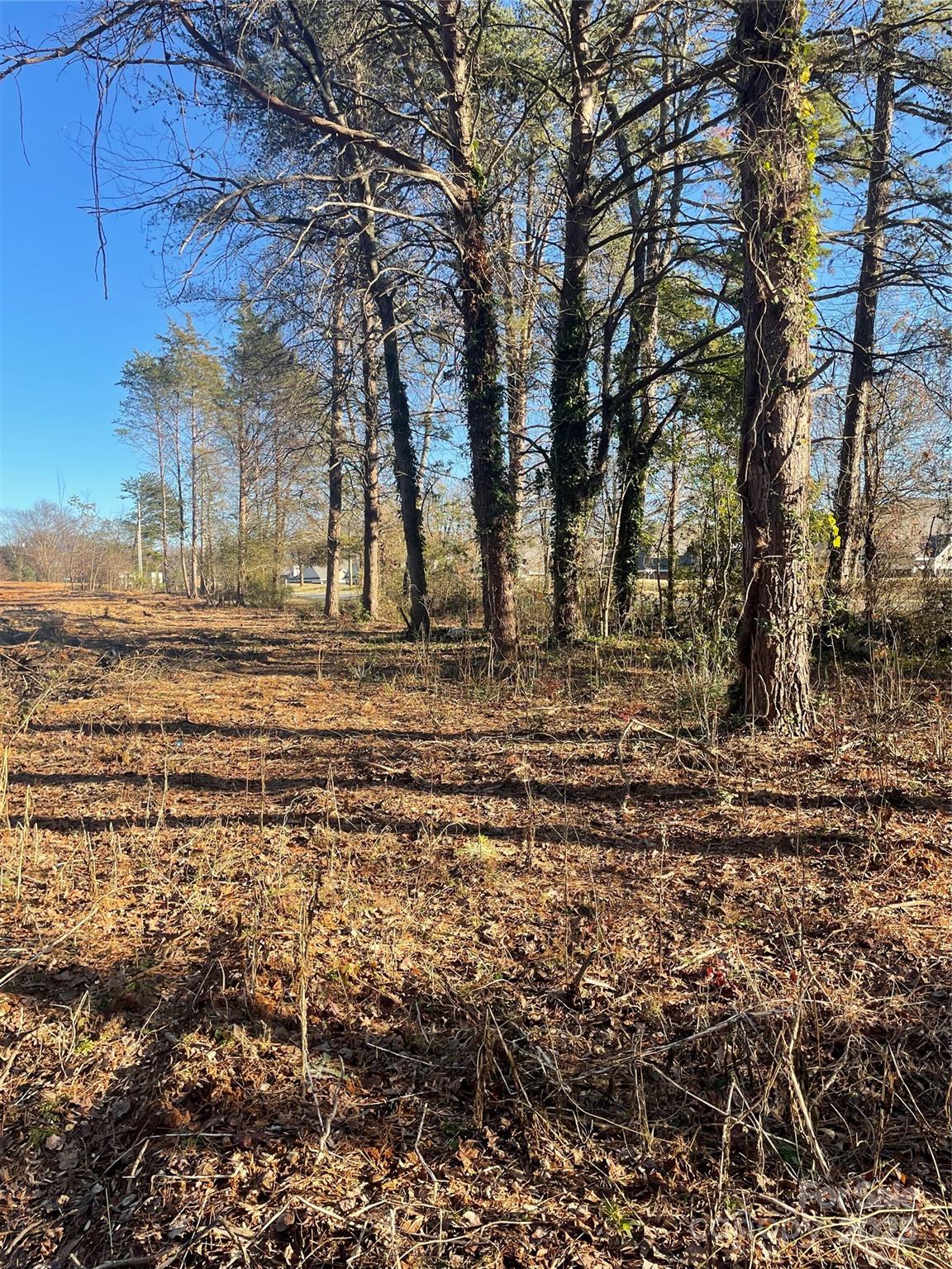 Lot 2 Conner Cove Lane Property Photo 13