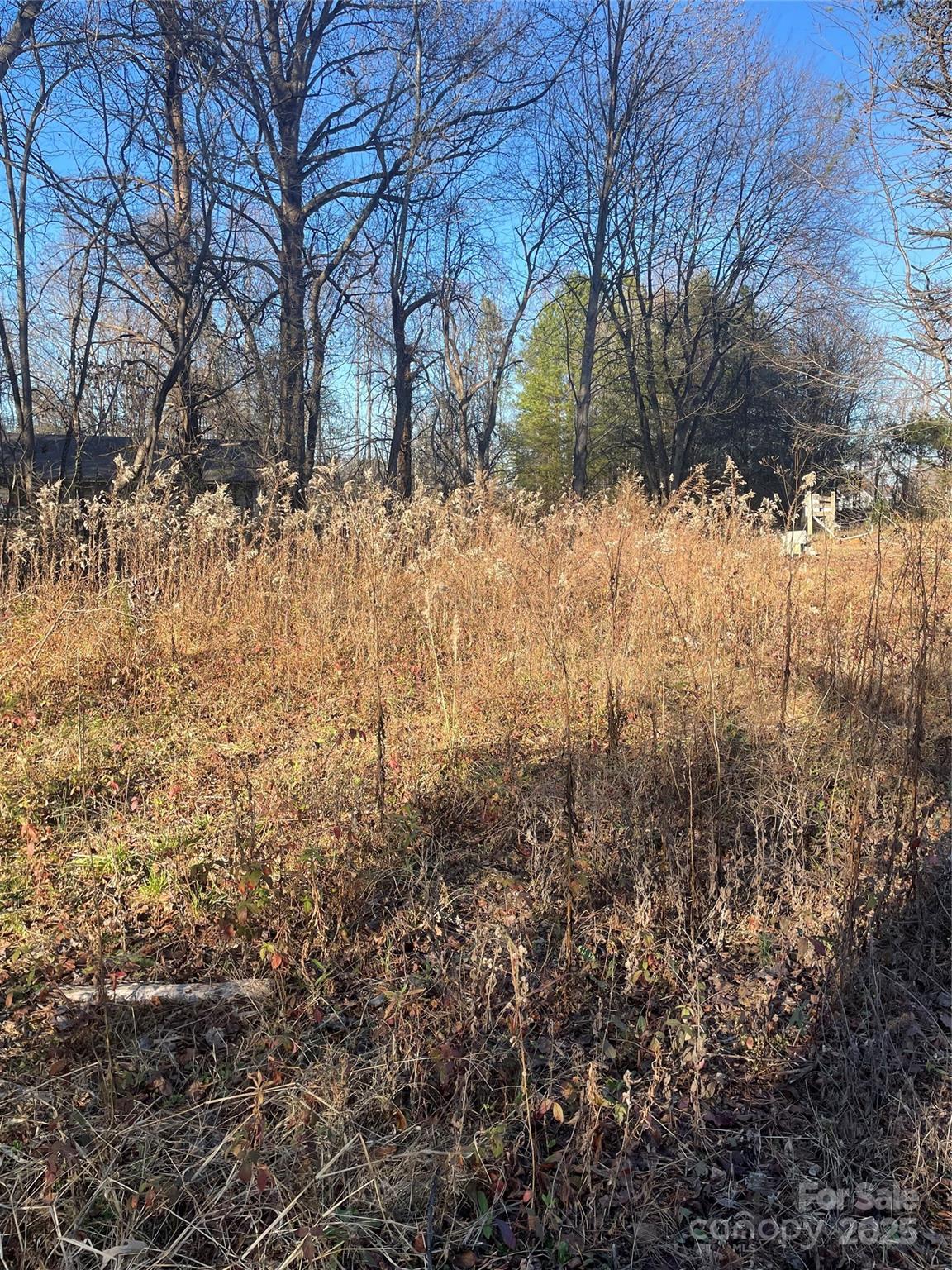 Lot 2 Conner Cove Lane Property Photo 14