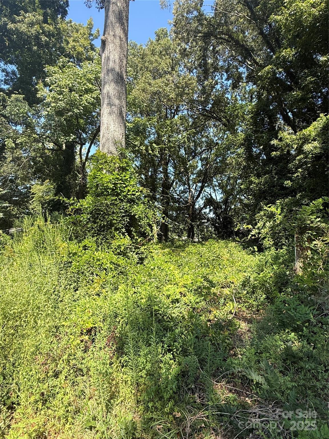 3615 Jonquil Street S Property Photo 1