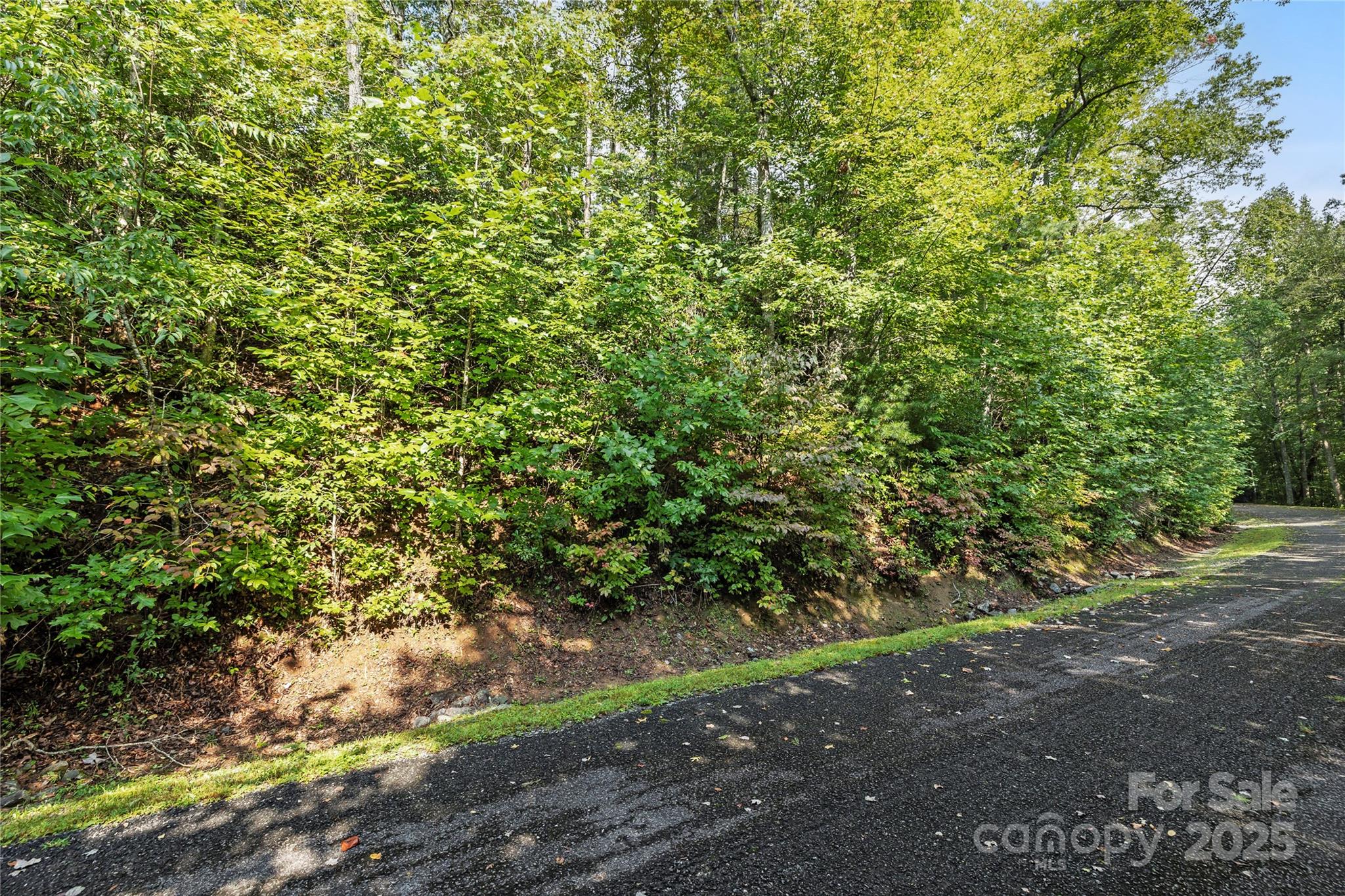 Tbd Barts Branch Drive 13-16 Property Photo 6