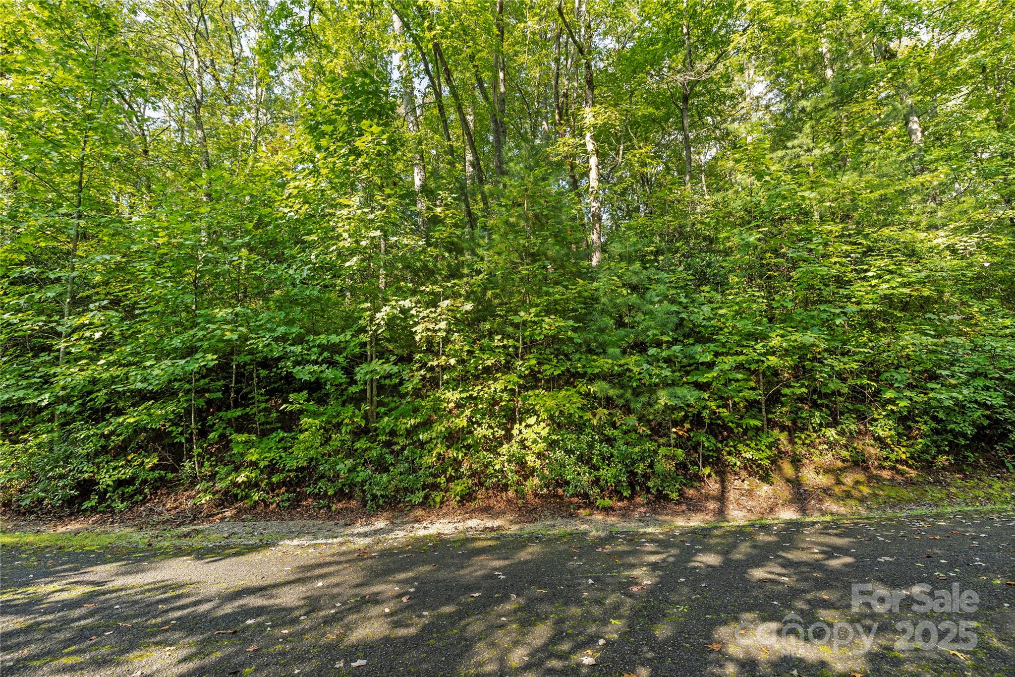 Tbd Barts Branch Drive 13-16 Property Photo 9