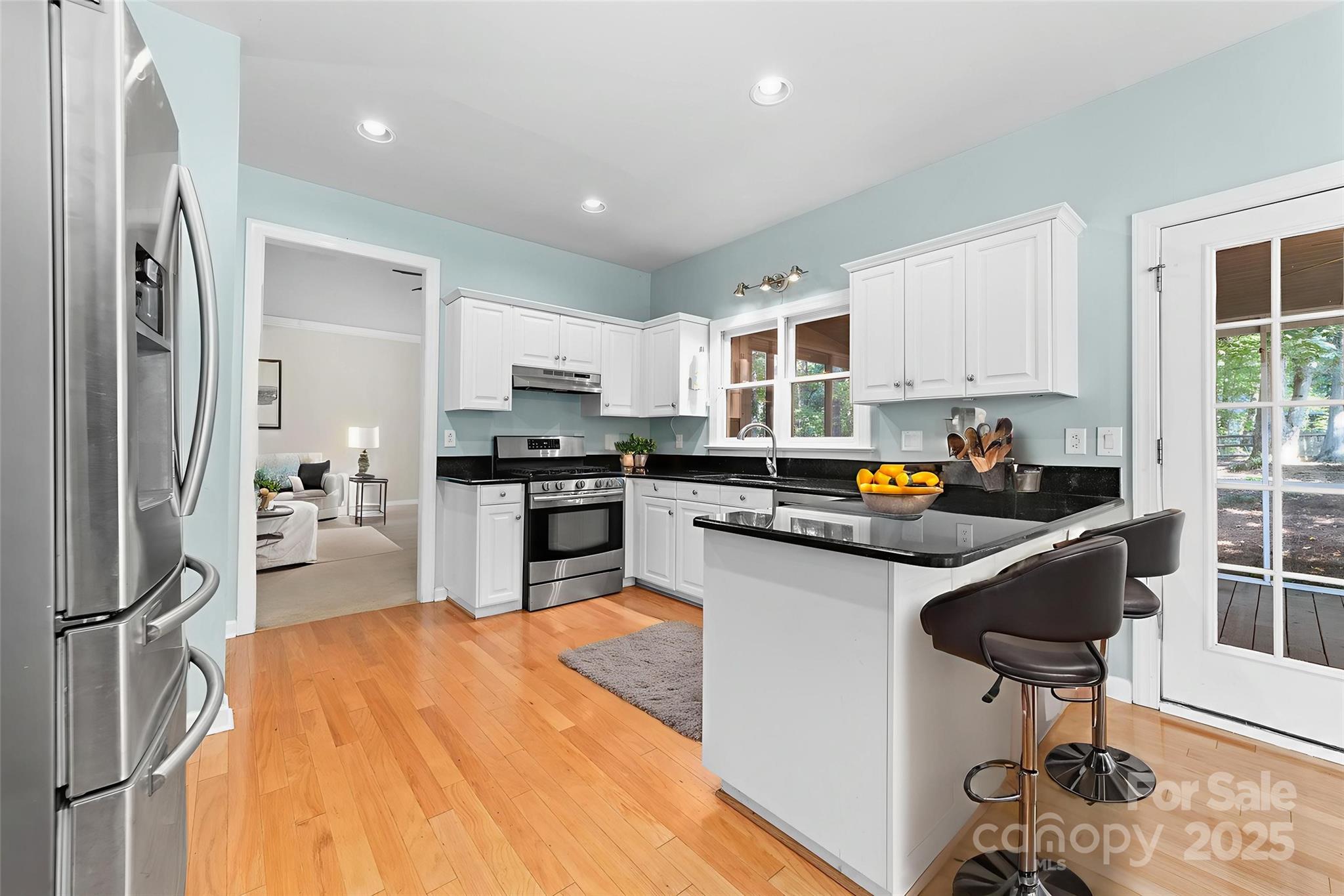 12707 Willow Grove Way Property Photo 9