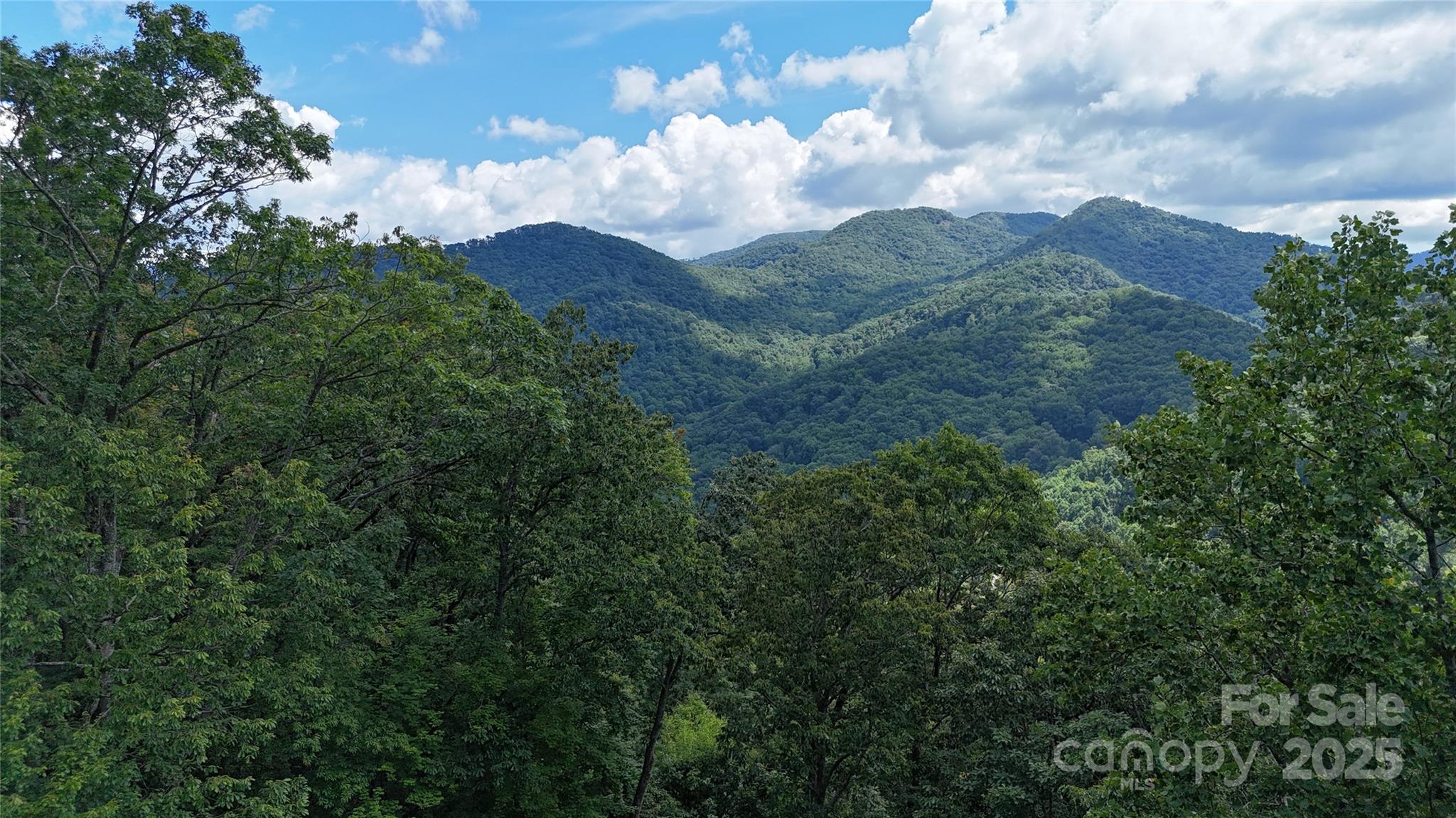 607 Rocky Top Trail Property Photo 6