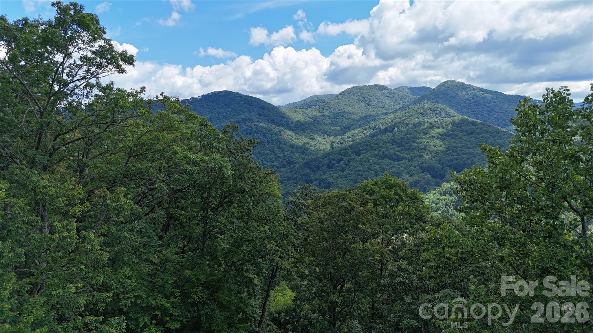 607 Rocky Top Trail Property Photo 6