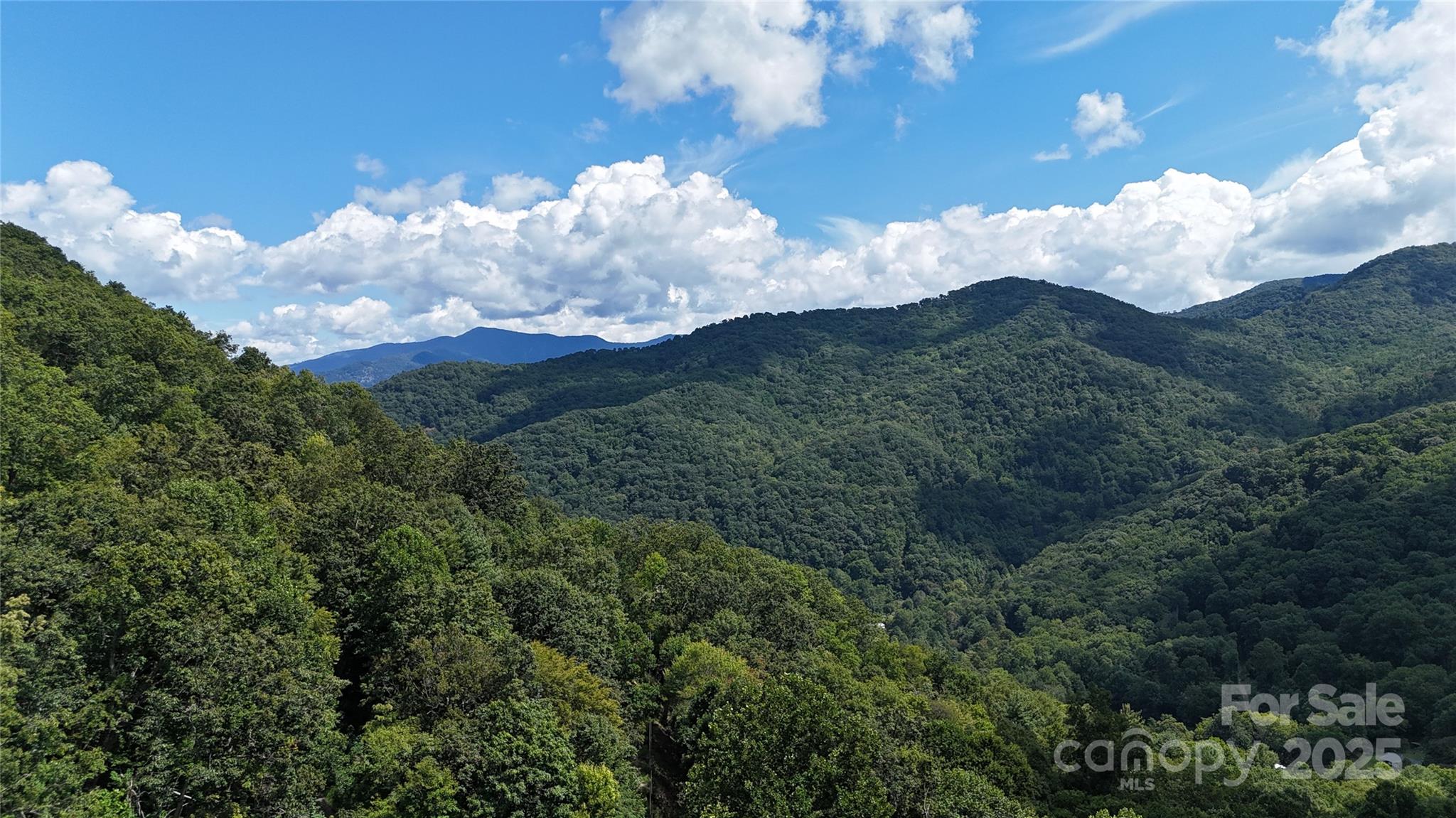 607 Rocky Top Trail Property Photo 7