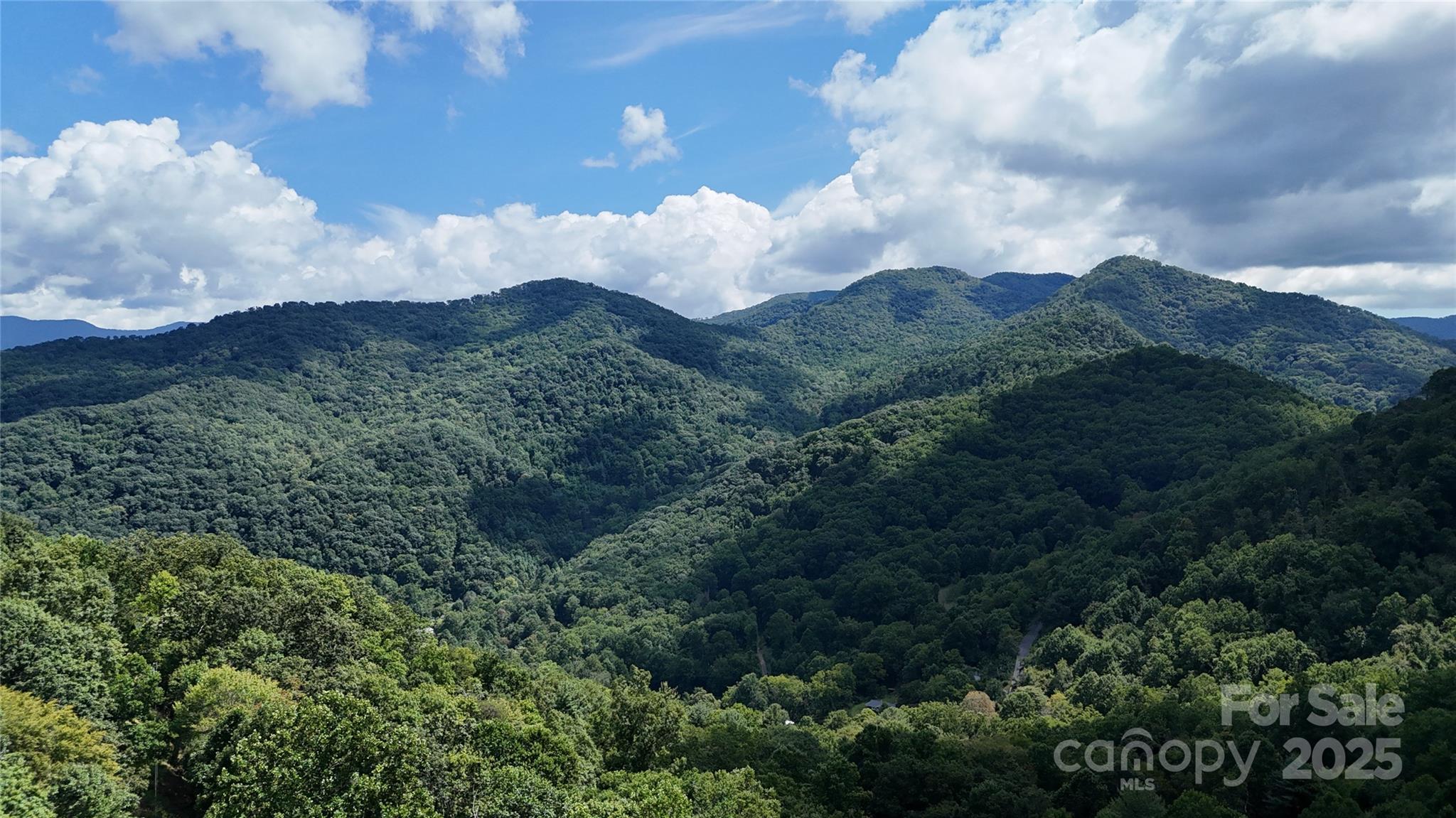 607 Rocky Top Trail Property Photo 8