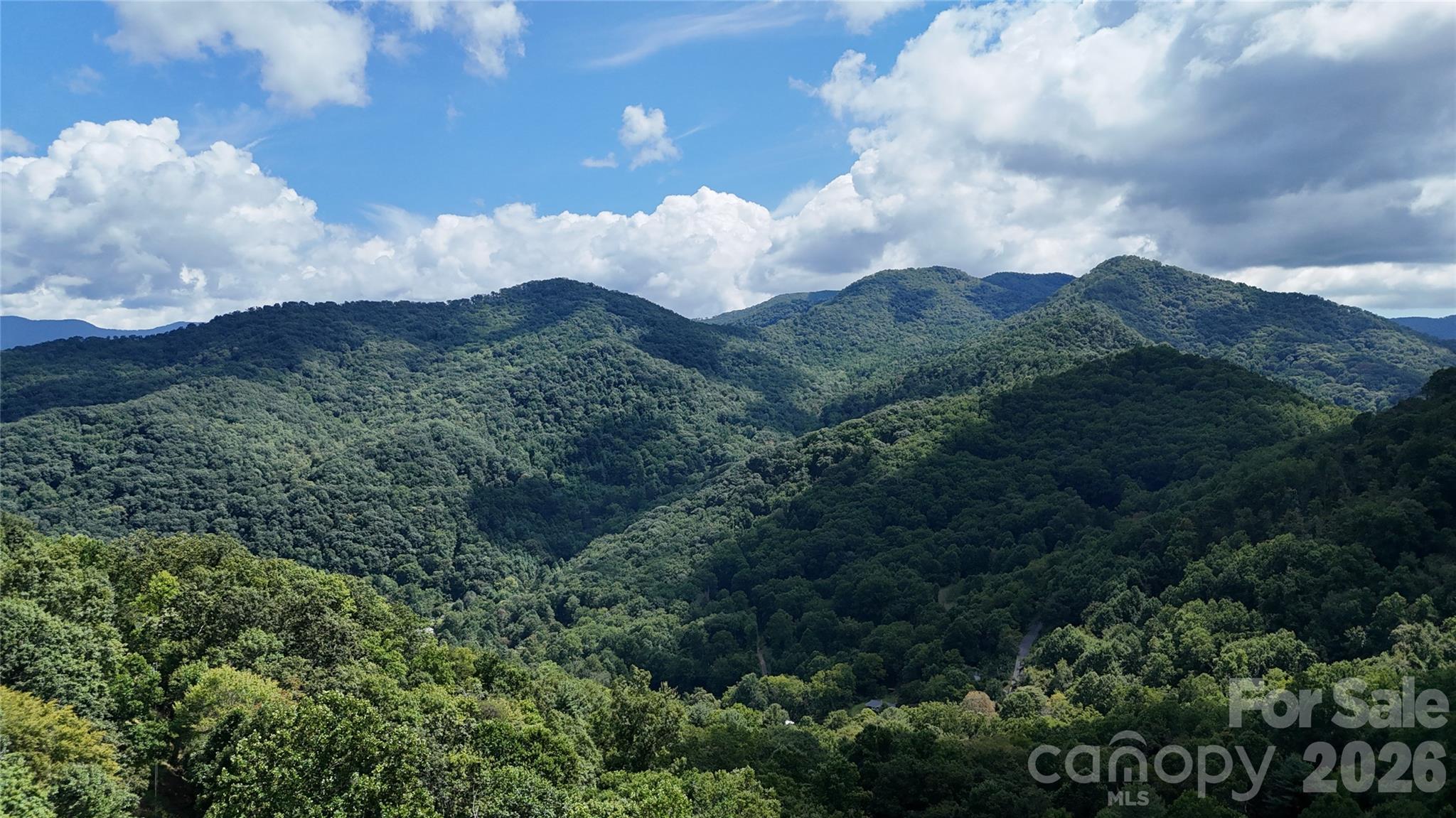 607 Rocky Top Trail Property Photo 8